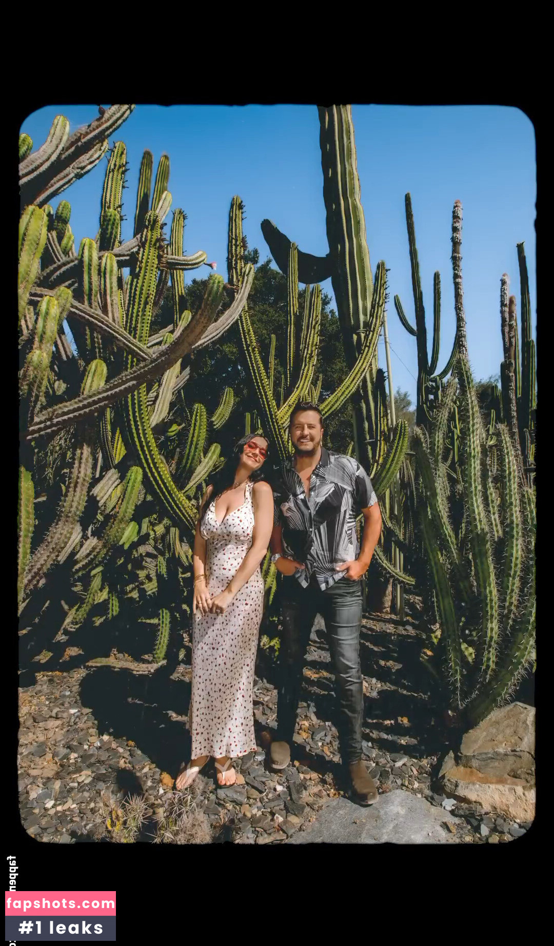 Katy Perry gallery photo #1524