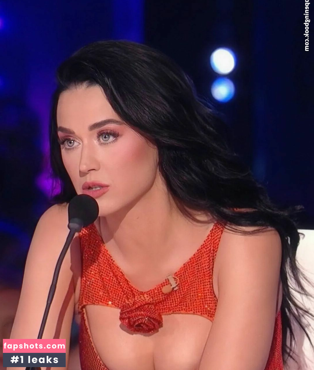 Katy Perry gallery photo #1966