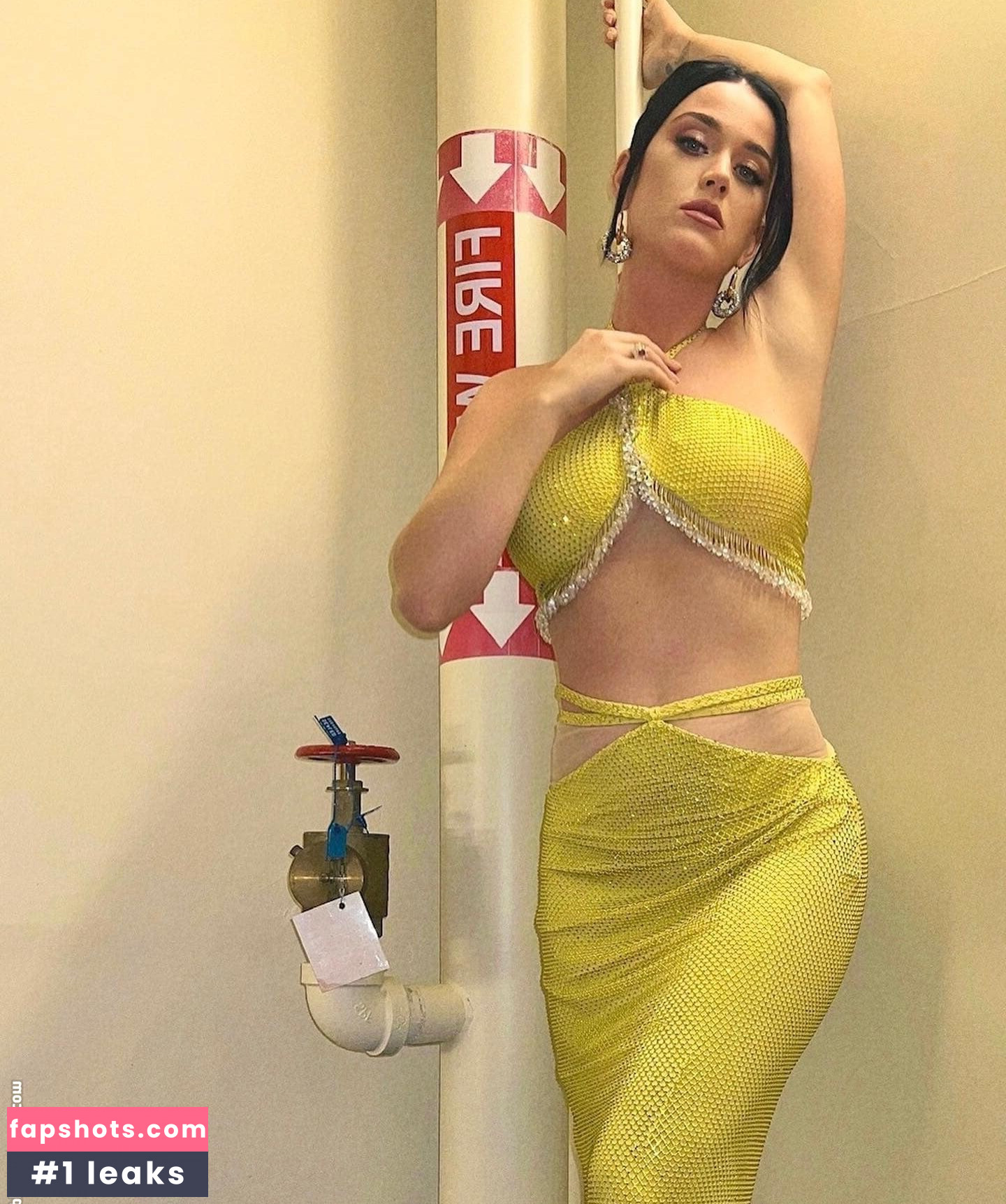 Katy Perry gallery photo #2046