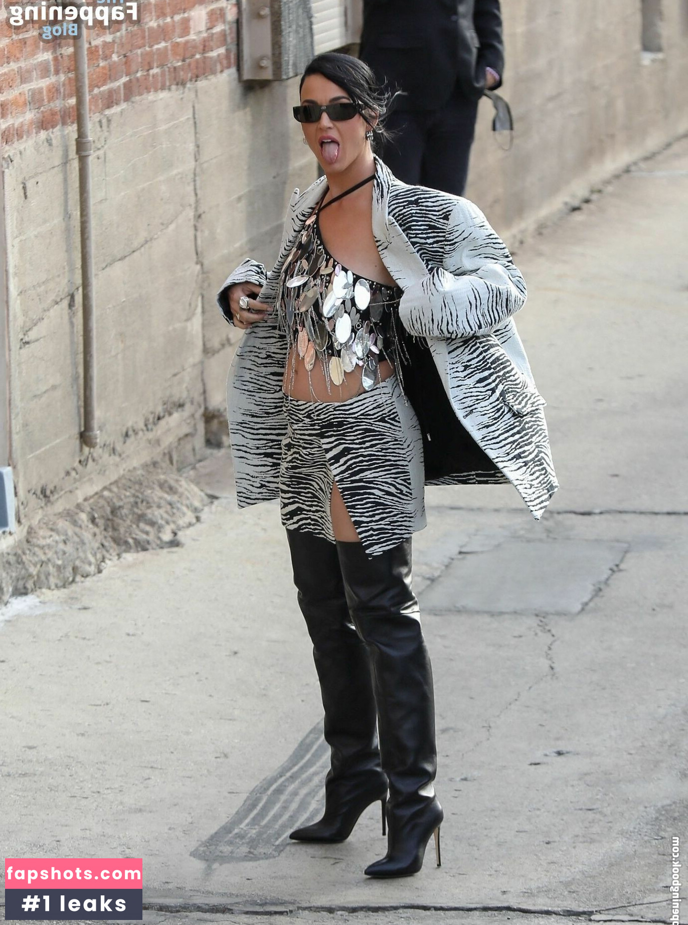 Katy Perry gallery photo #2265