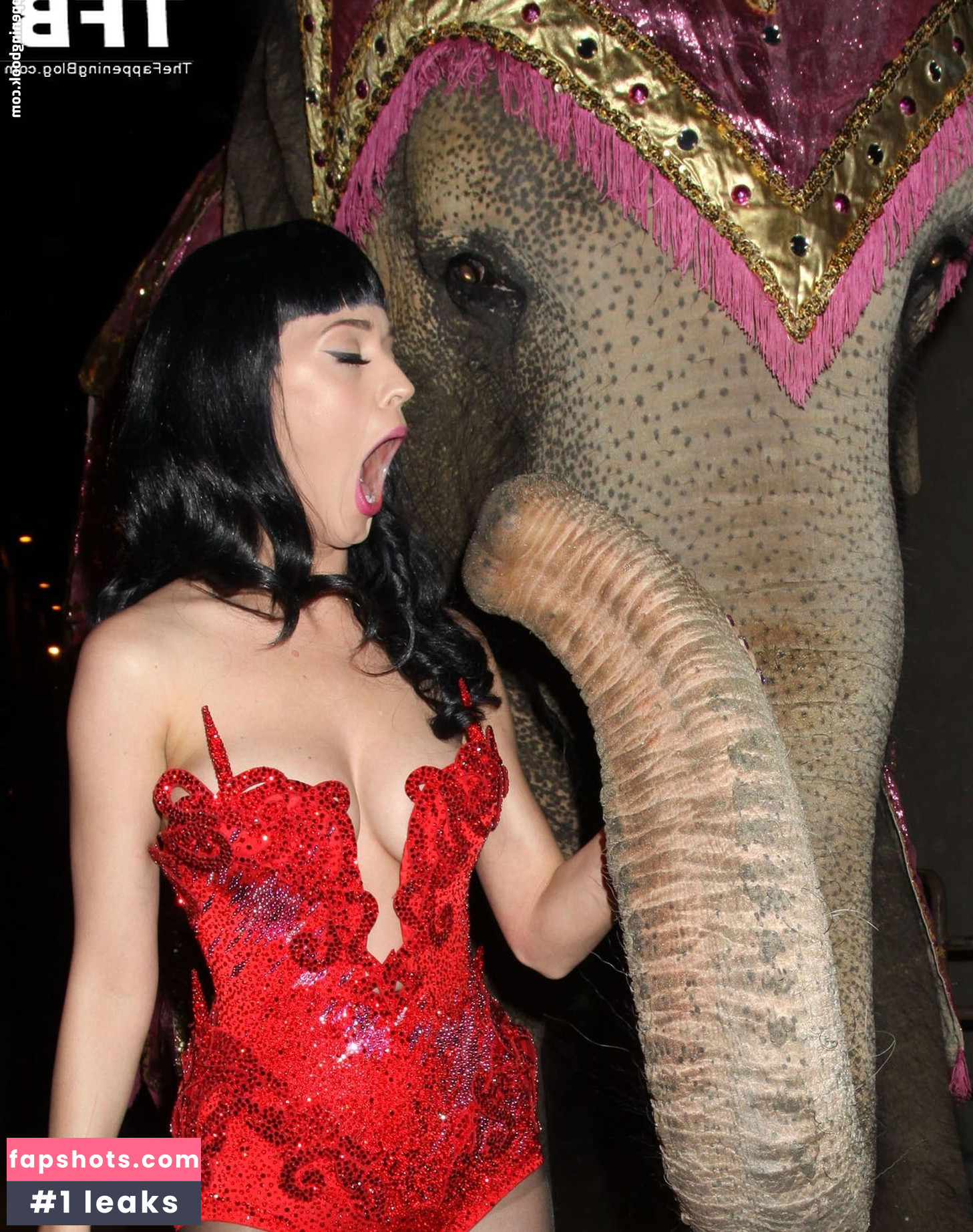 Katy Perry gallery photo #2462