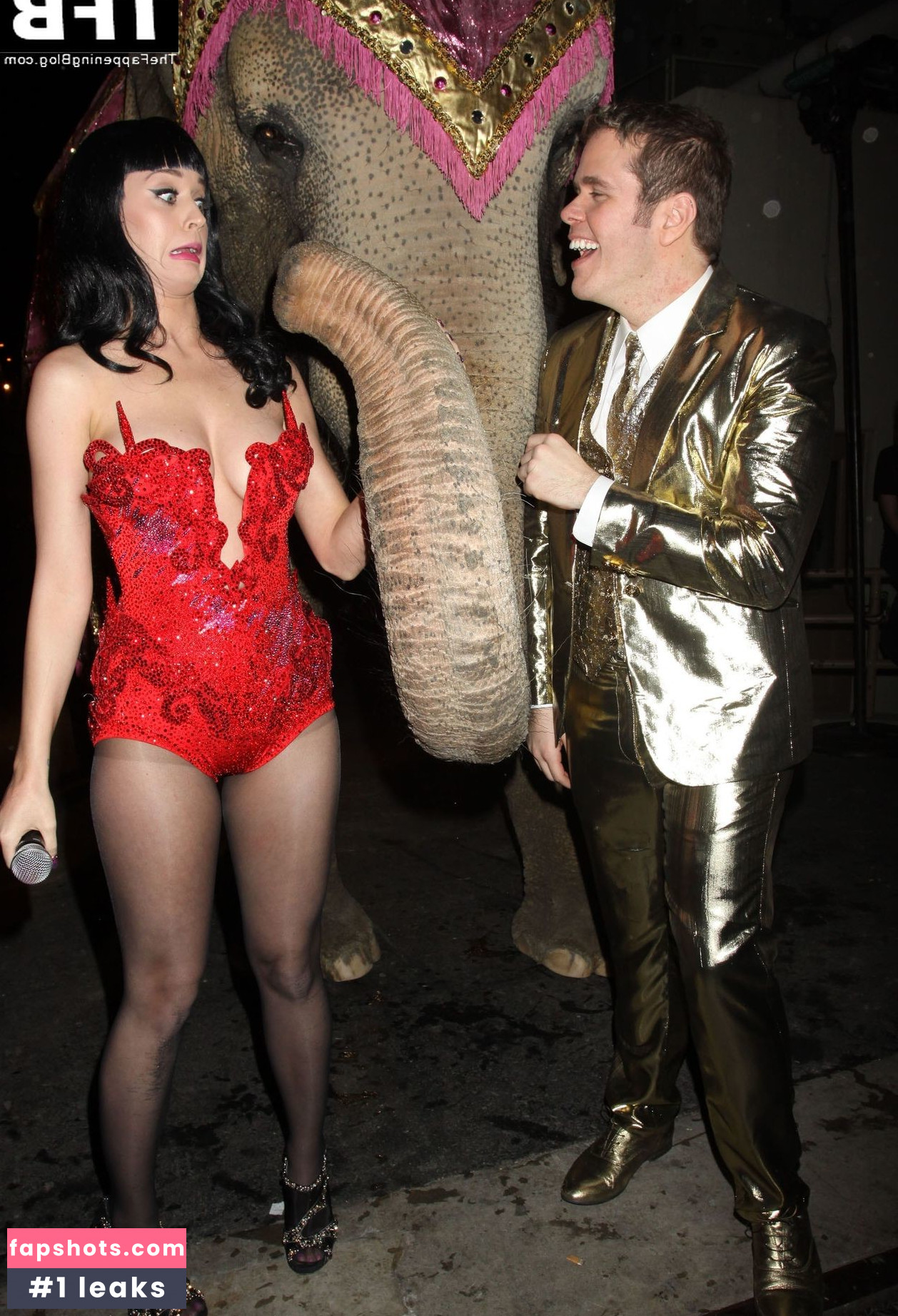 Katy Perry gallery photo #2567