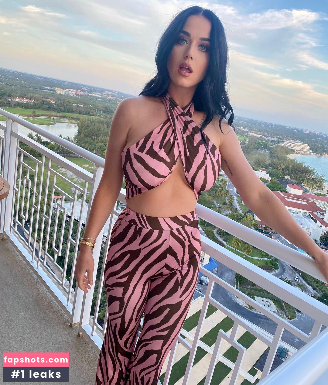 Katy Perry gallery photo #2885