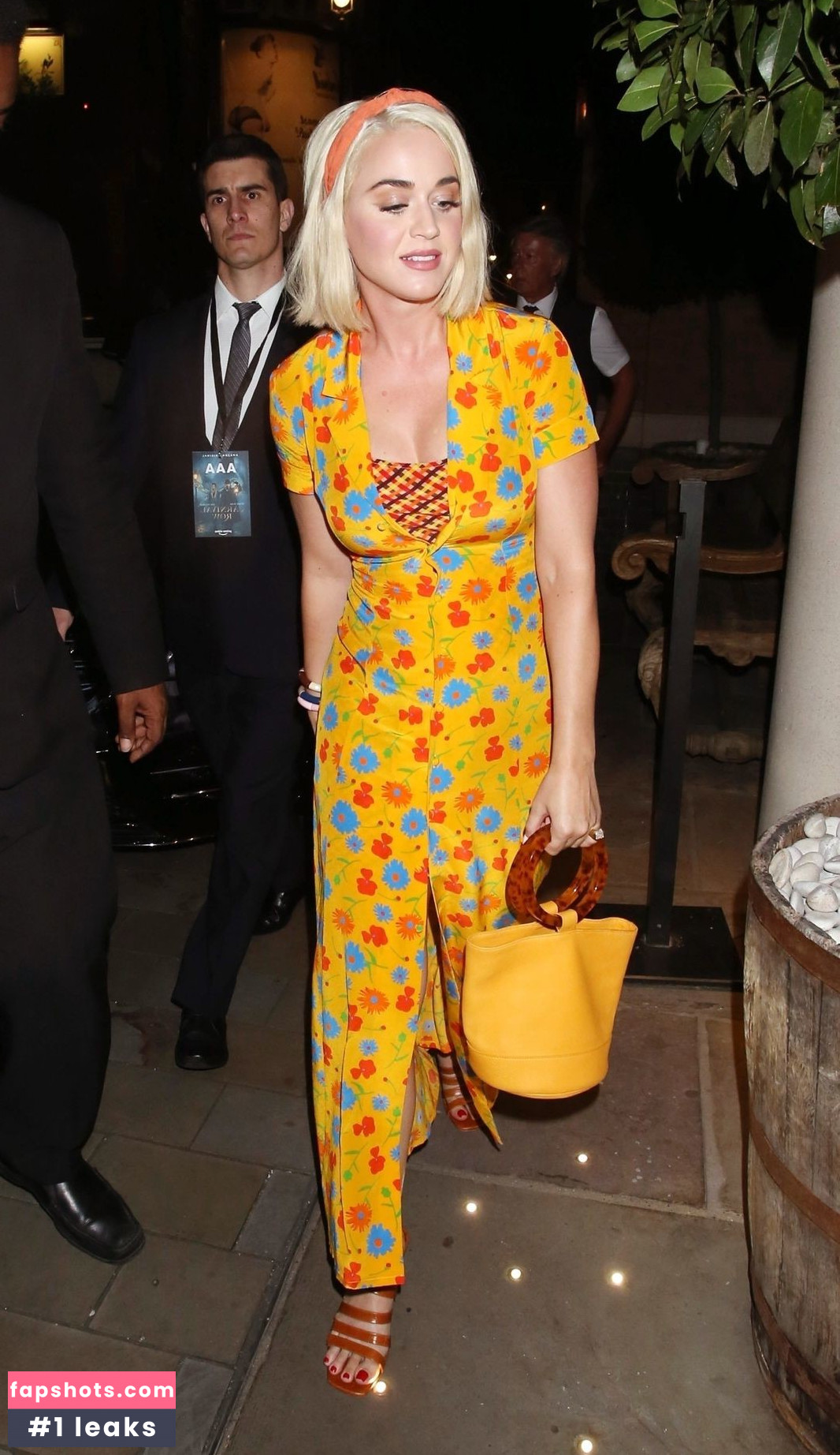 Katy Perry gallery photo #4075