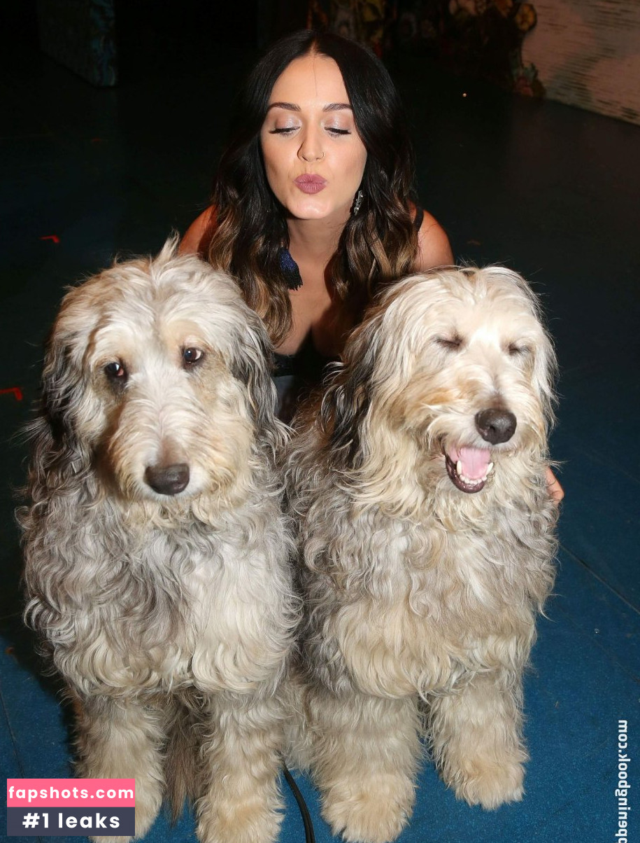 Katy Perry gallery photo #5247