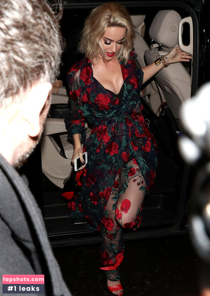 Katy Perry gallery photo #5478