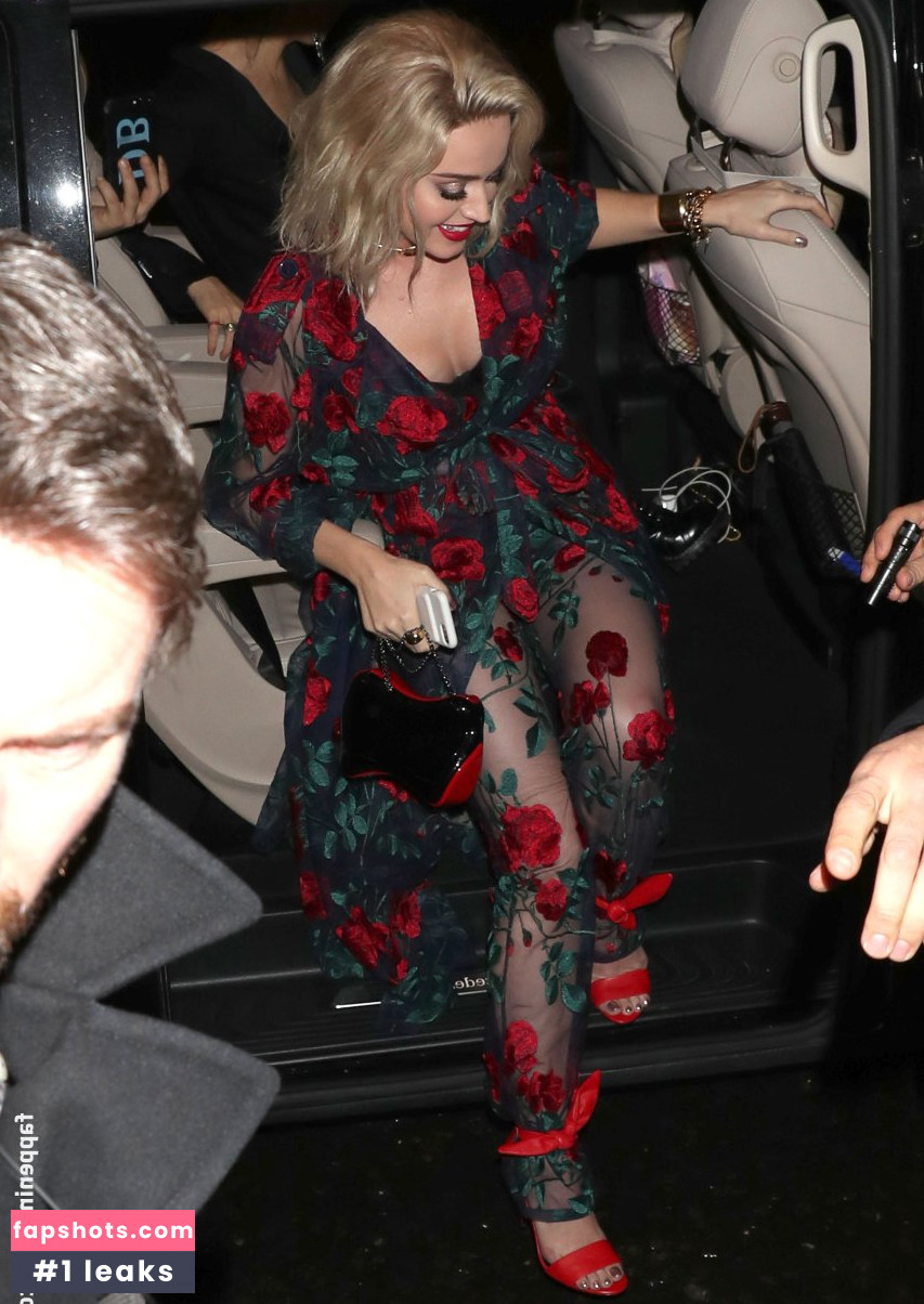 Katy Perry gallery photo #5479
