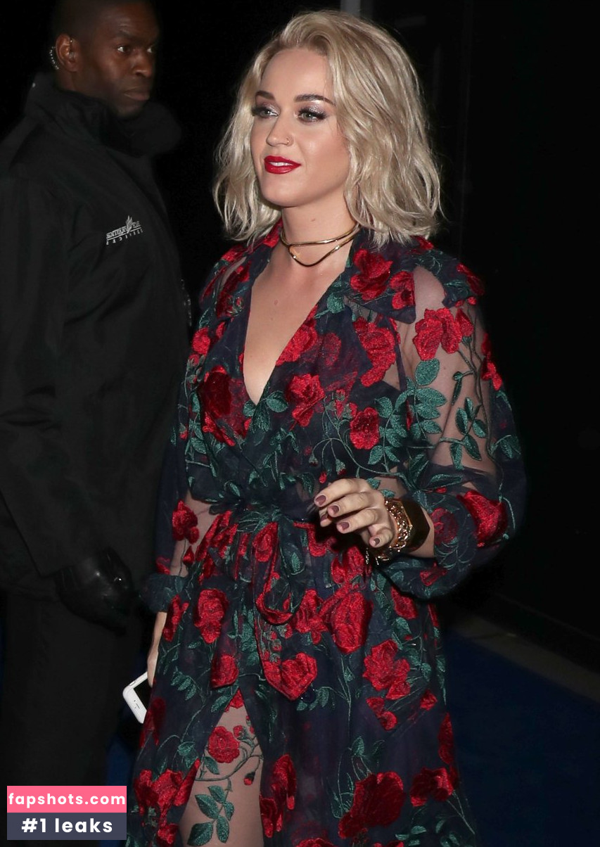 Katy Perry gallery photo #5482