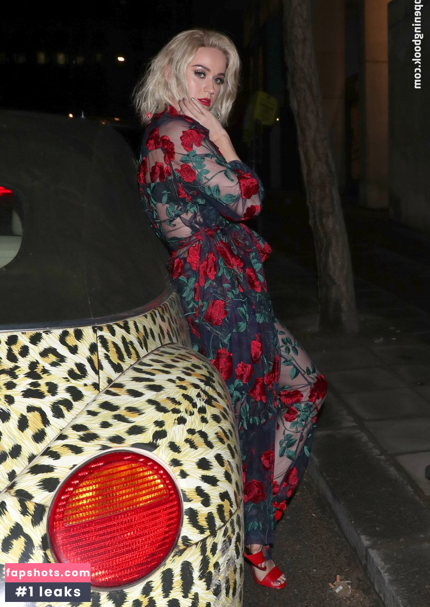 Katy Perry gallery photo #5484