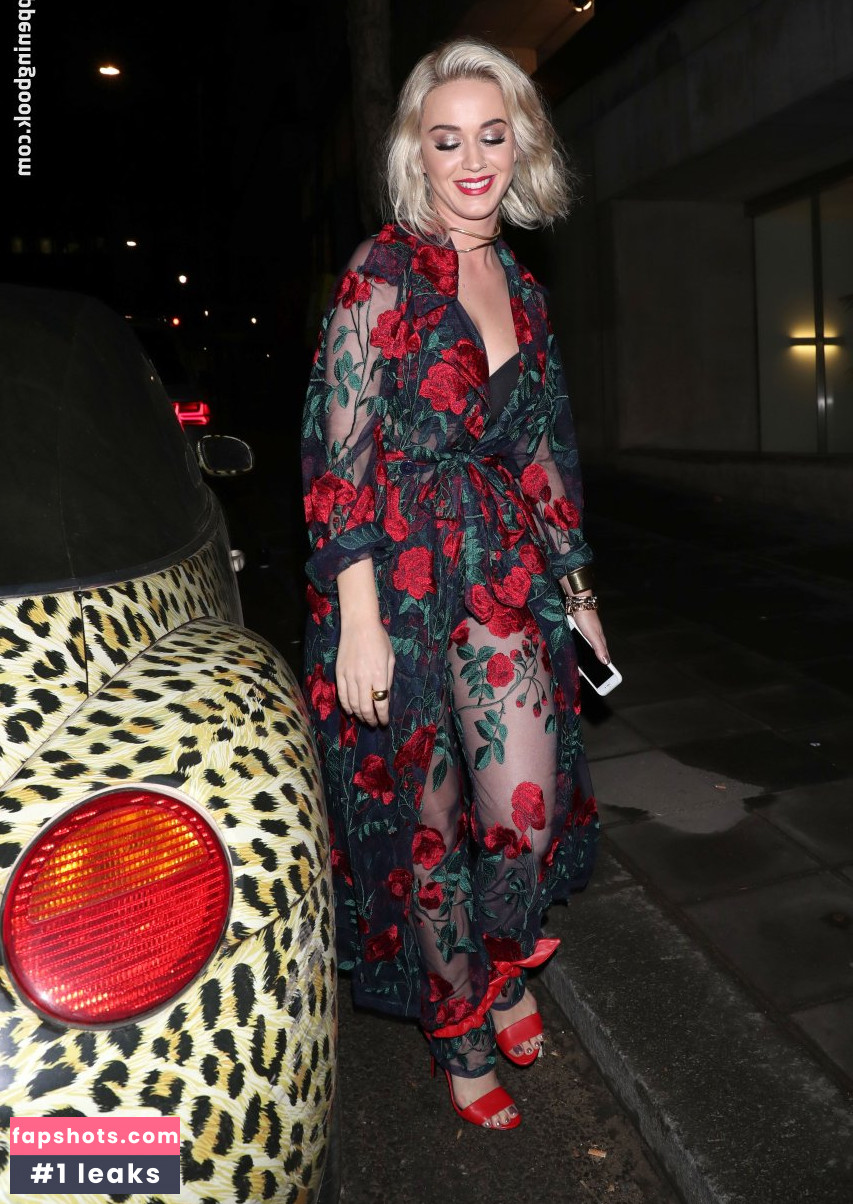 Katy Perry gallery photo #5486