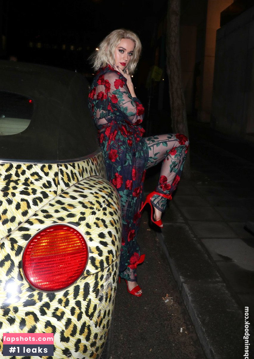 Katy Perry gallery photo #5487