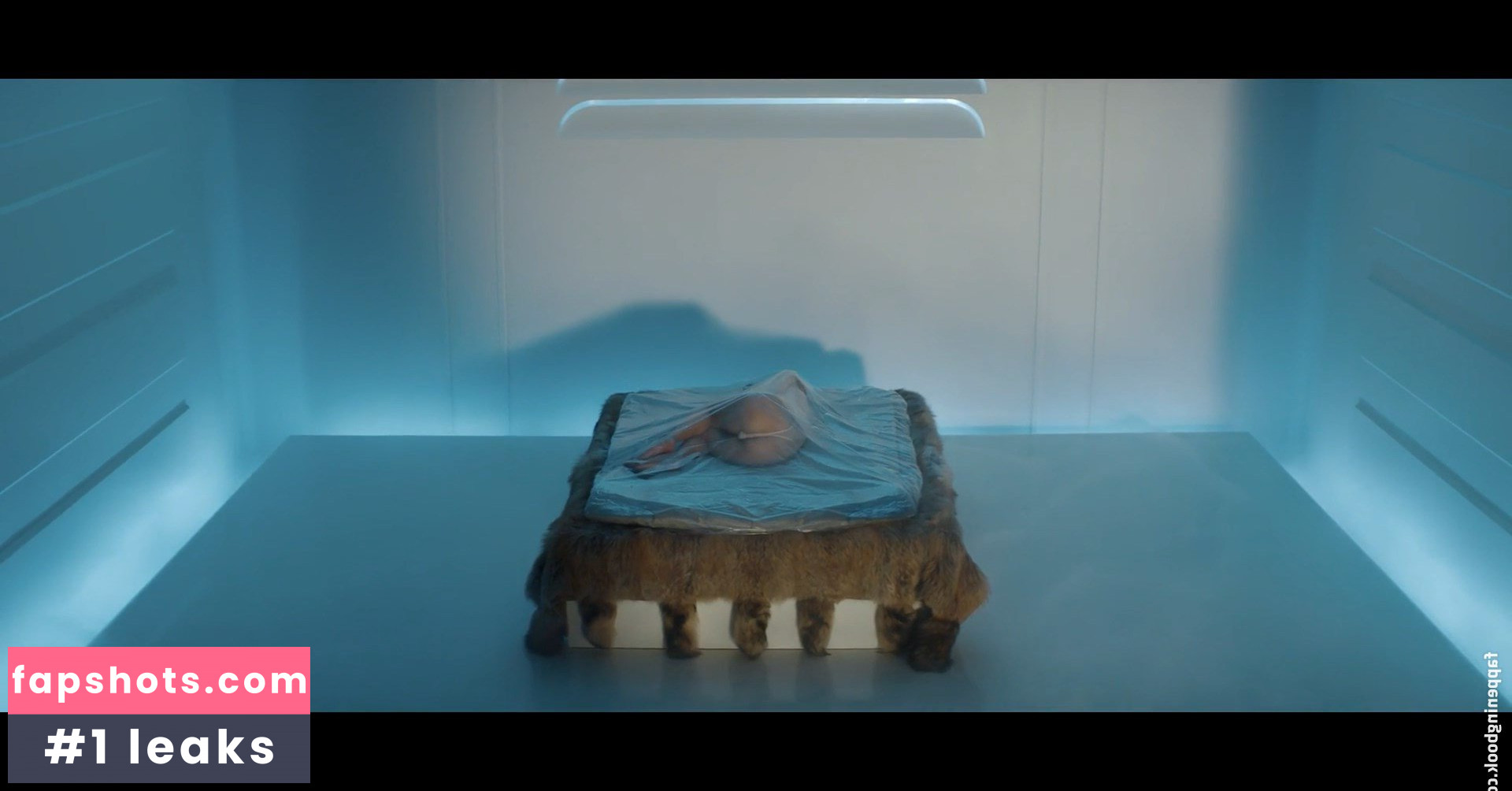 Katy Perry gallery photo #5768