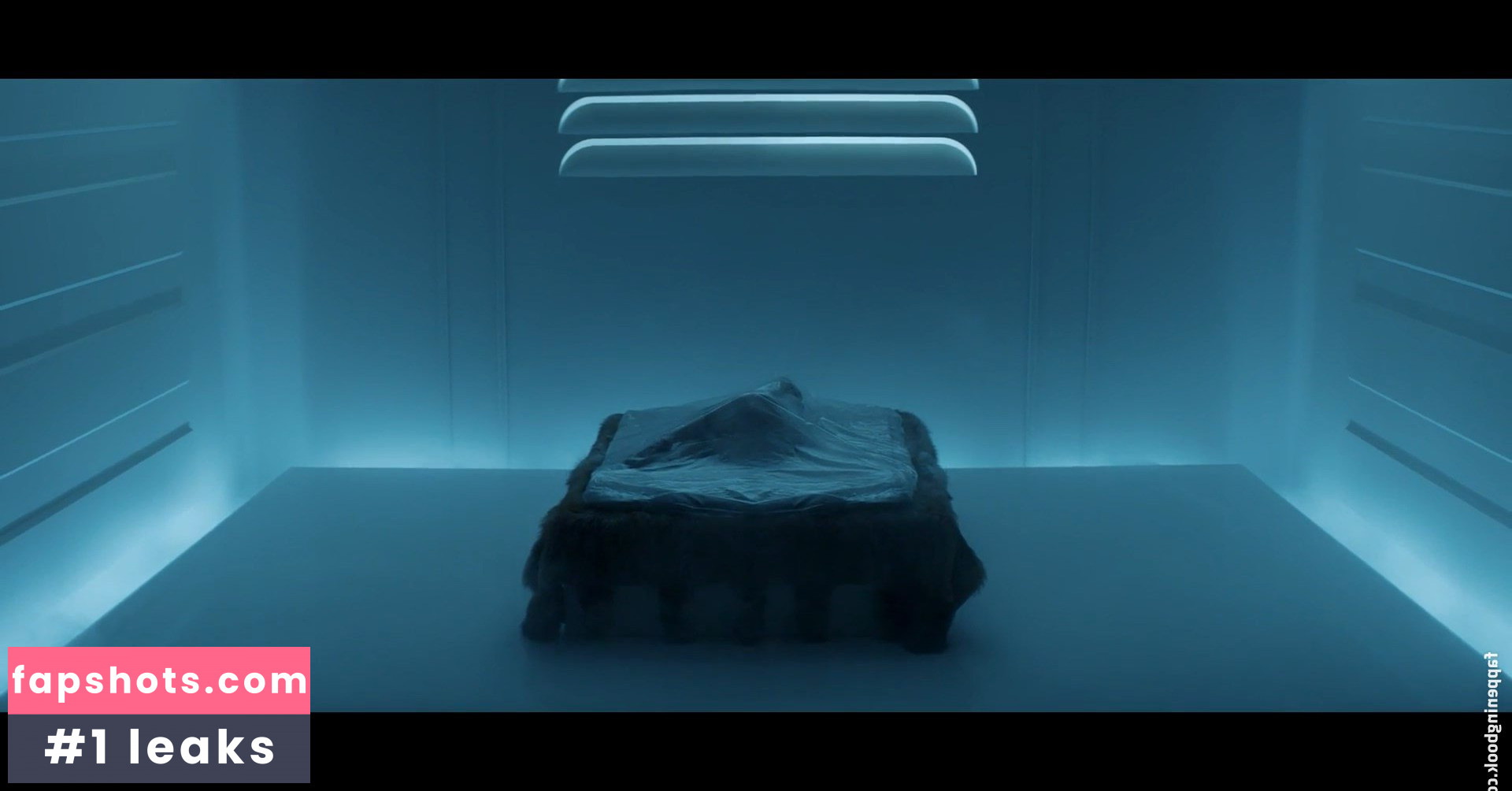 Katy Perry gallery photo #5770