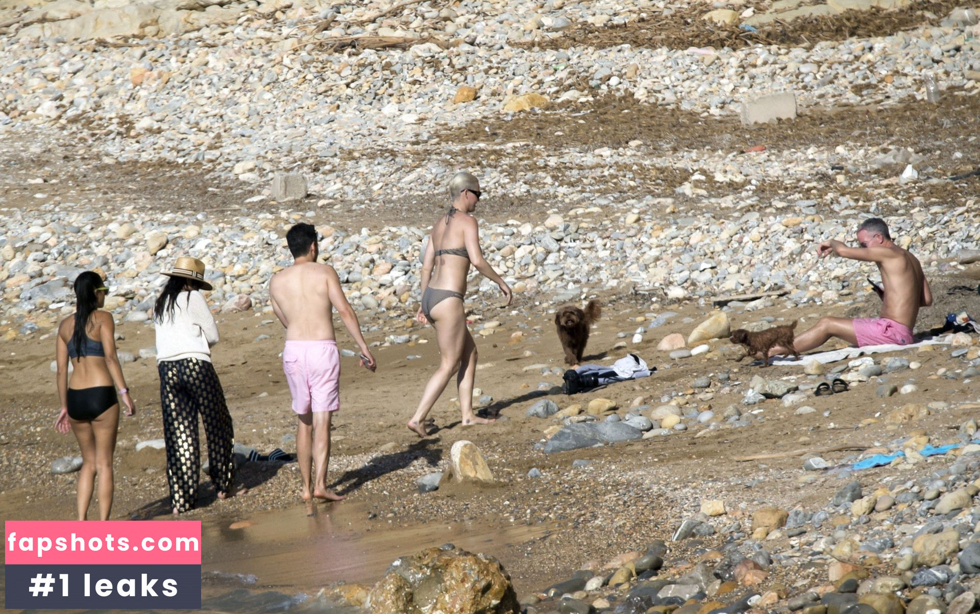 Katy Perry gallery photo #6571