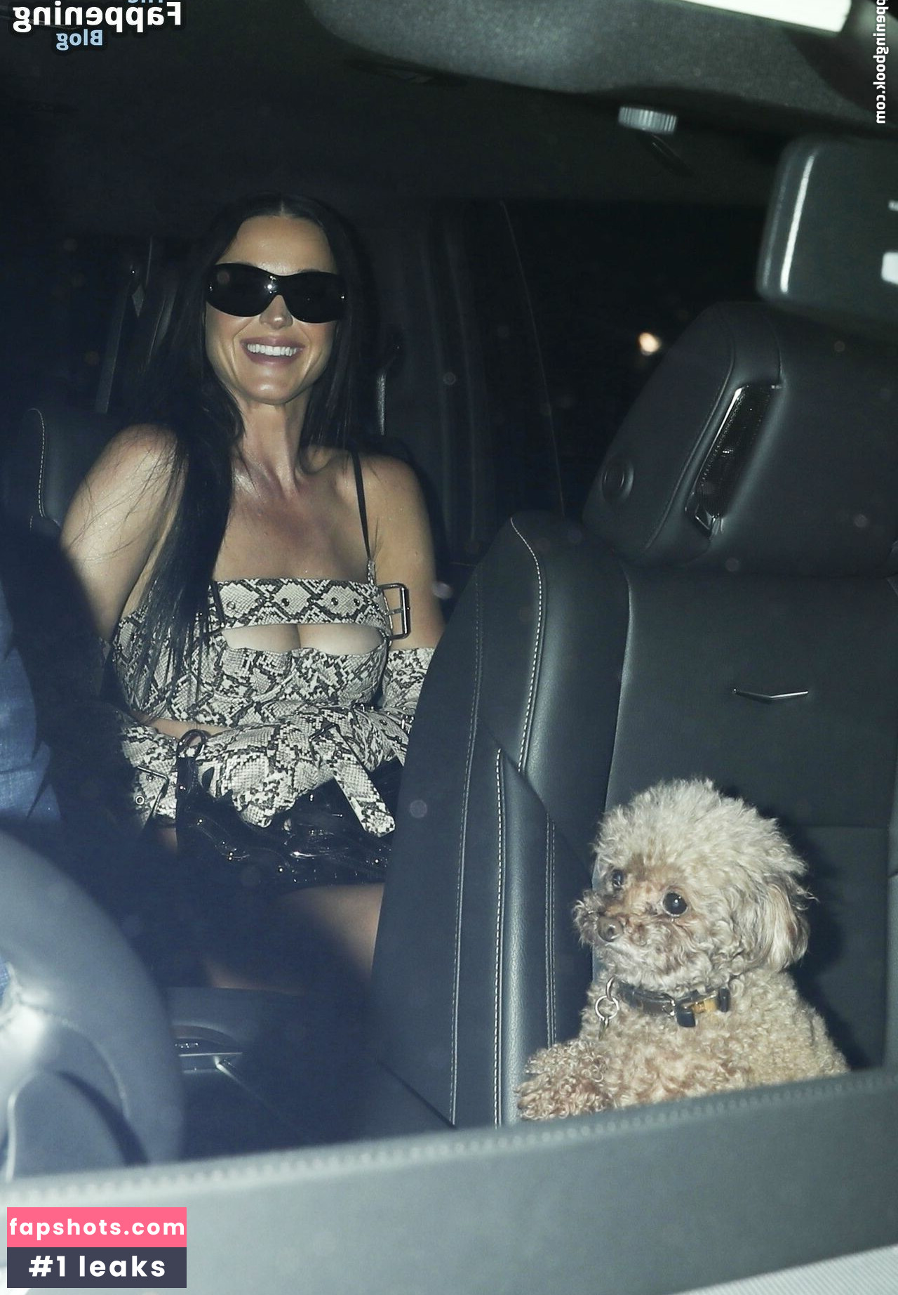 Katy Perry gallery photo #757