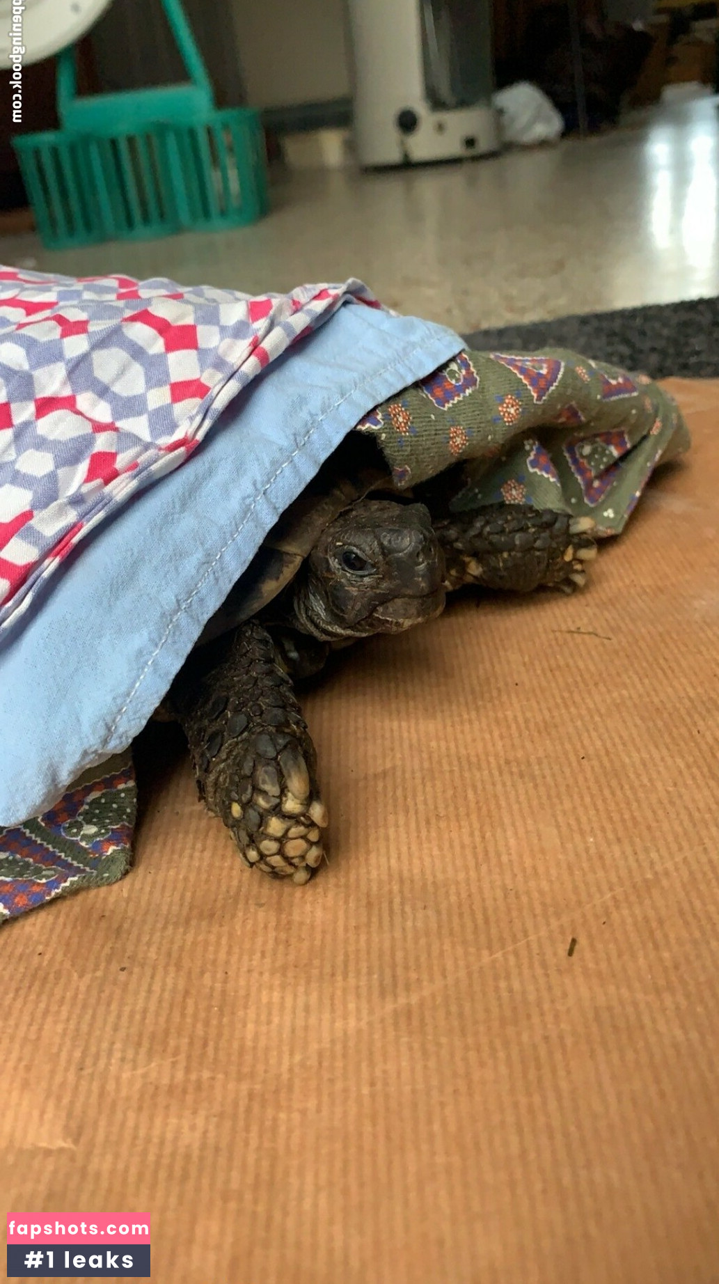 kawaii-love Nahé úniky fotek pouze od fanoušků #3 - Fapshots