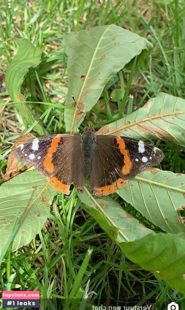kawaii-love Nahé úniky fotek pouze od fanoušků #7 - Fapshots
