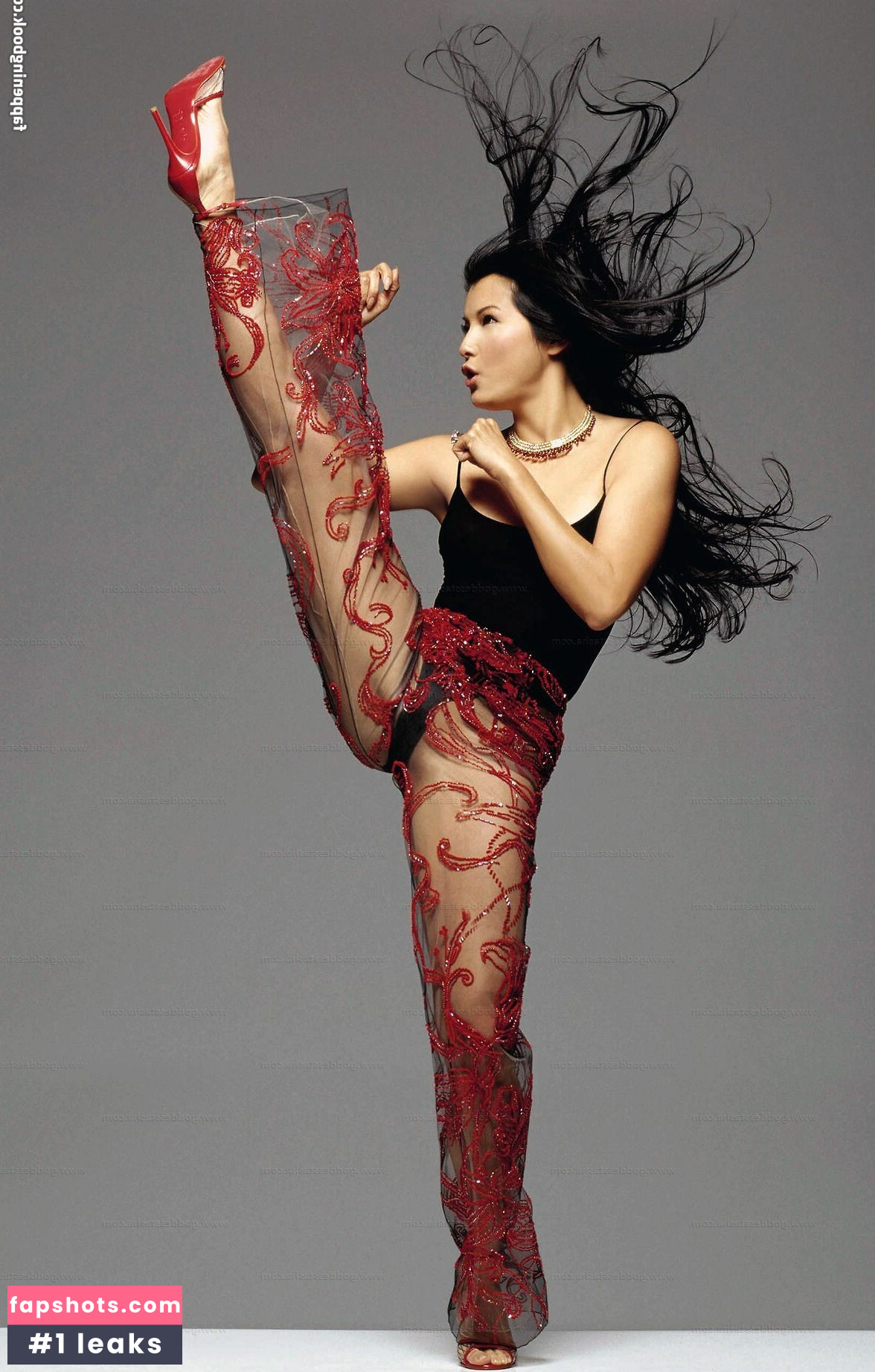 Kelly Hu gallery photo #24