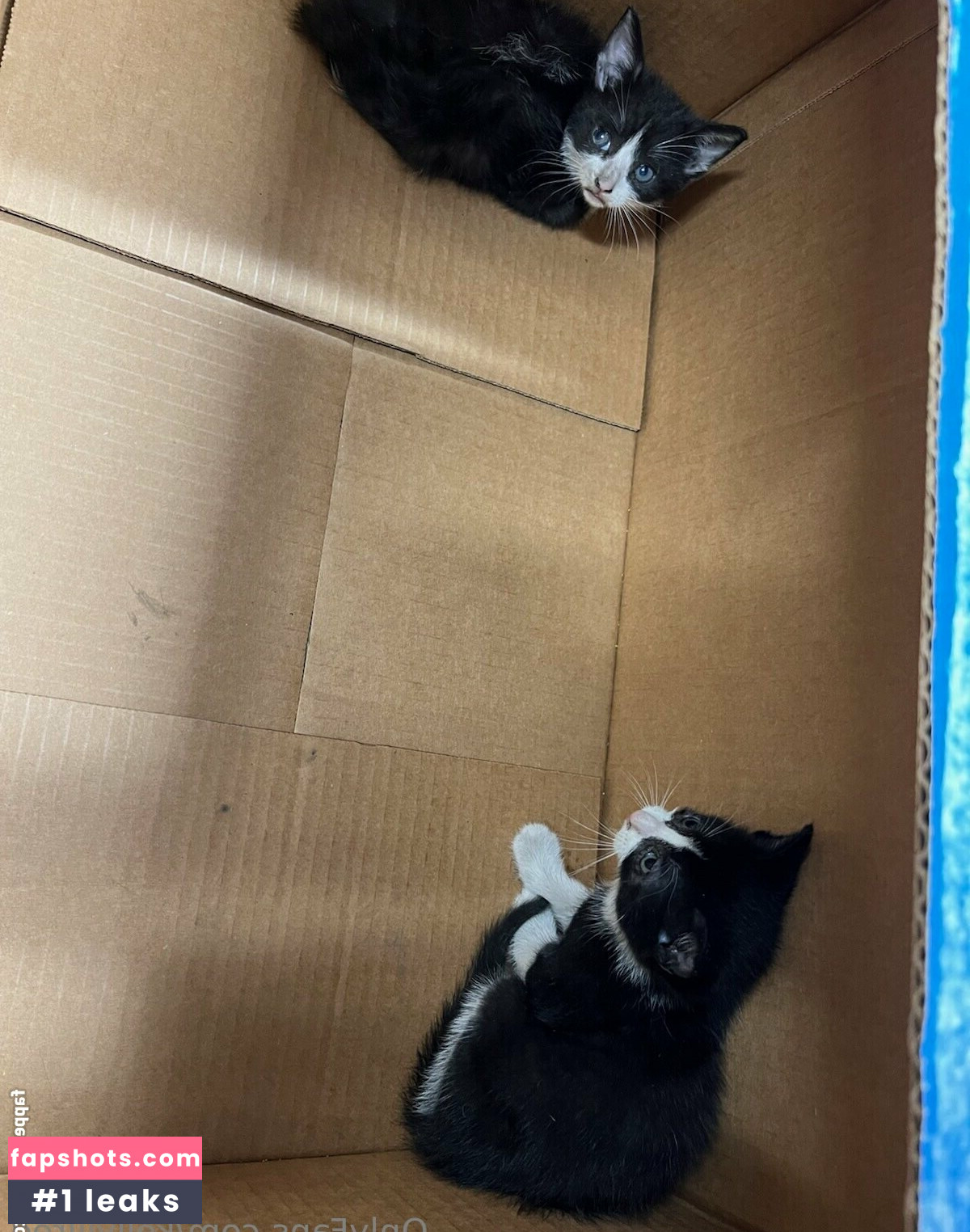 kellylilred gallery photo #10