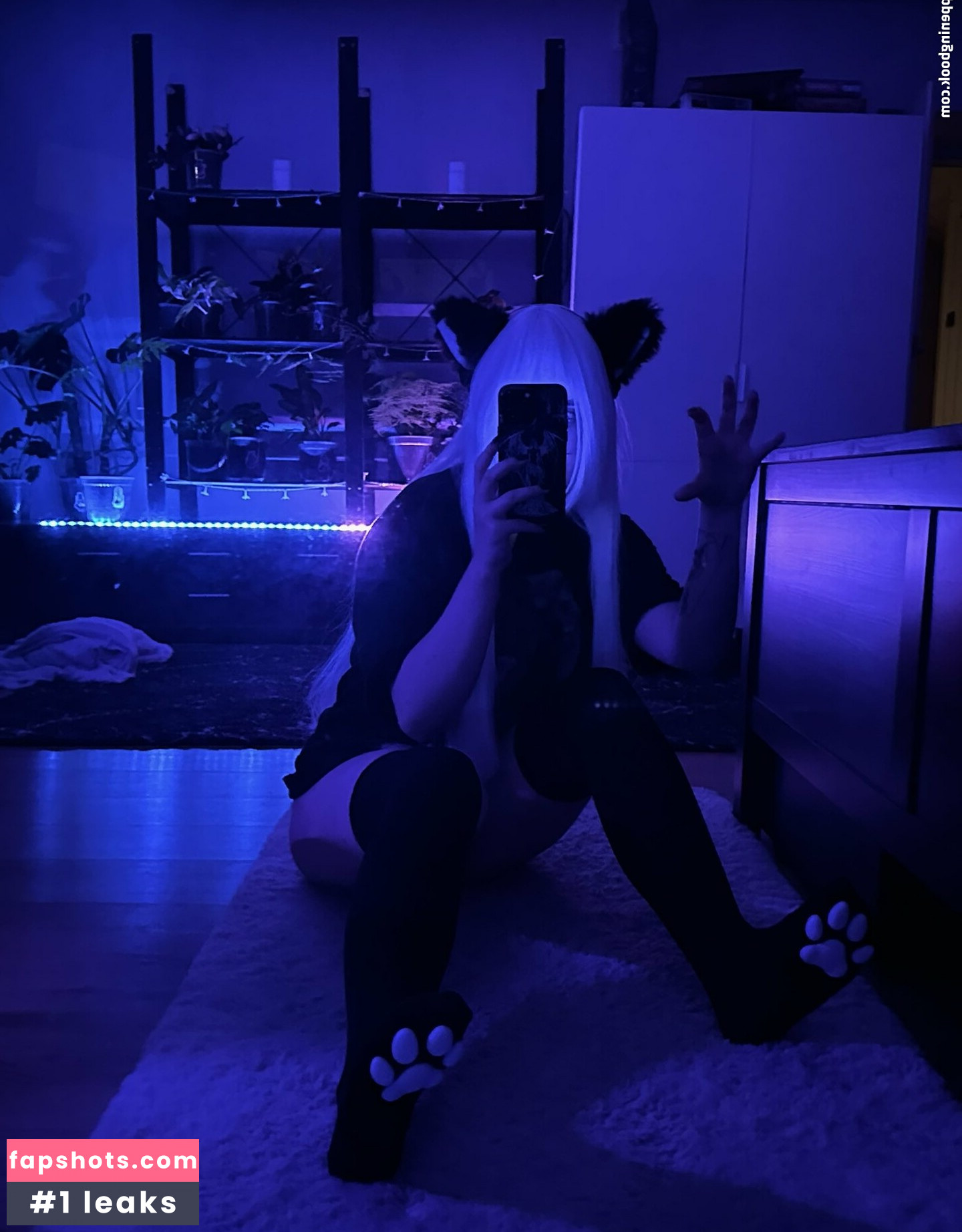 kelpiechu gallery photo #10