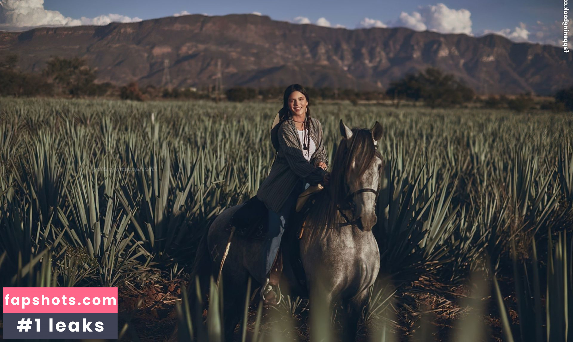 Kendall Jenner gallery photo #1984