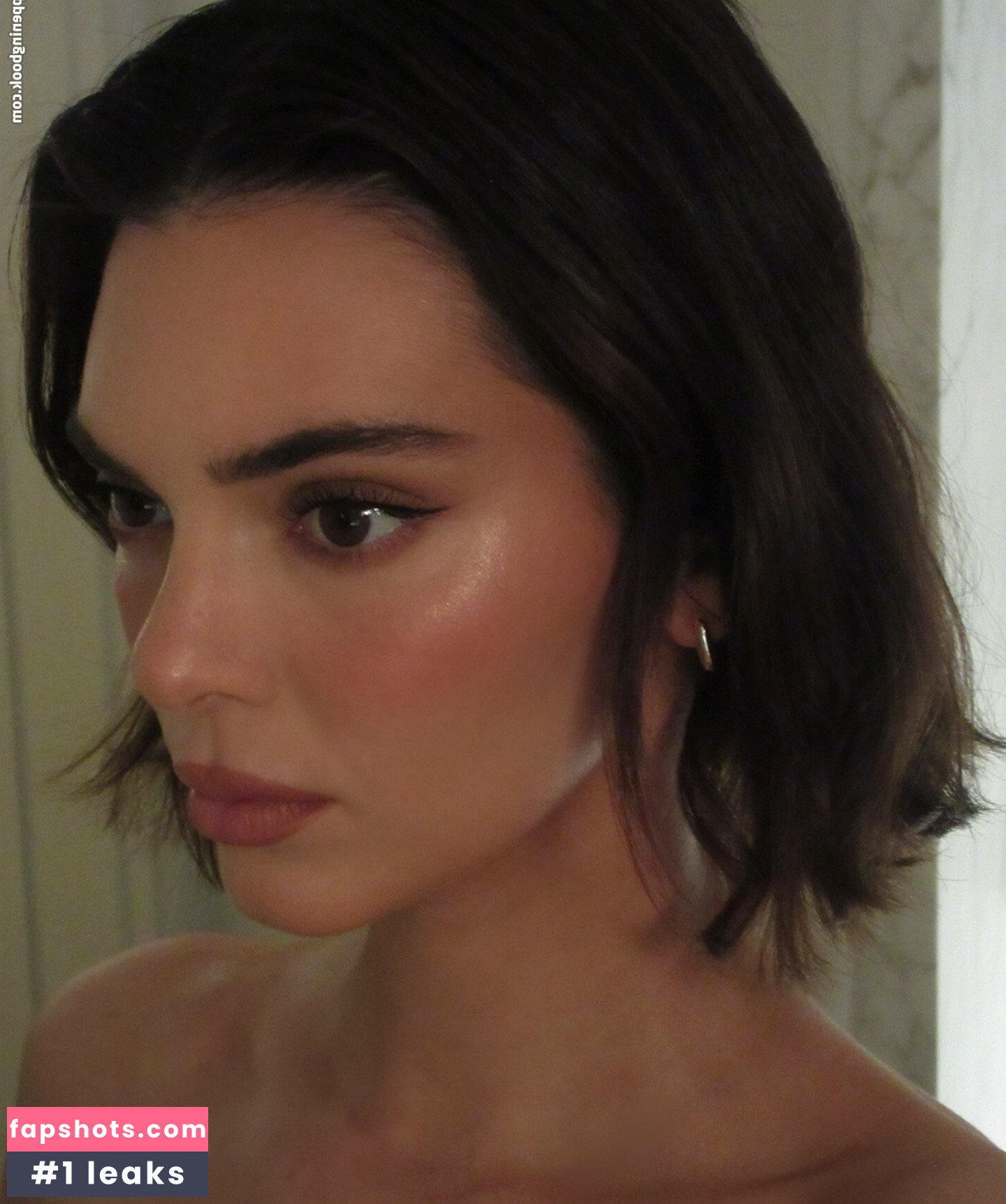 Kendall Jenner Nude Leaks OnlyFans Photos #238 - LeakJerk