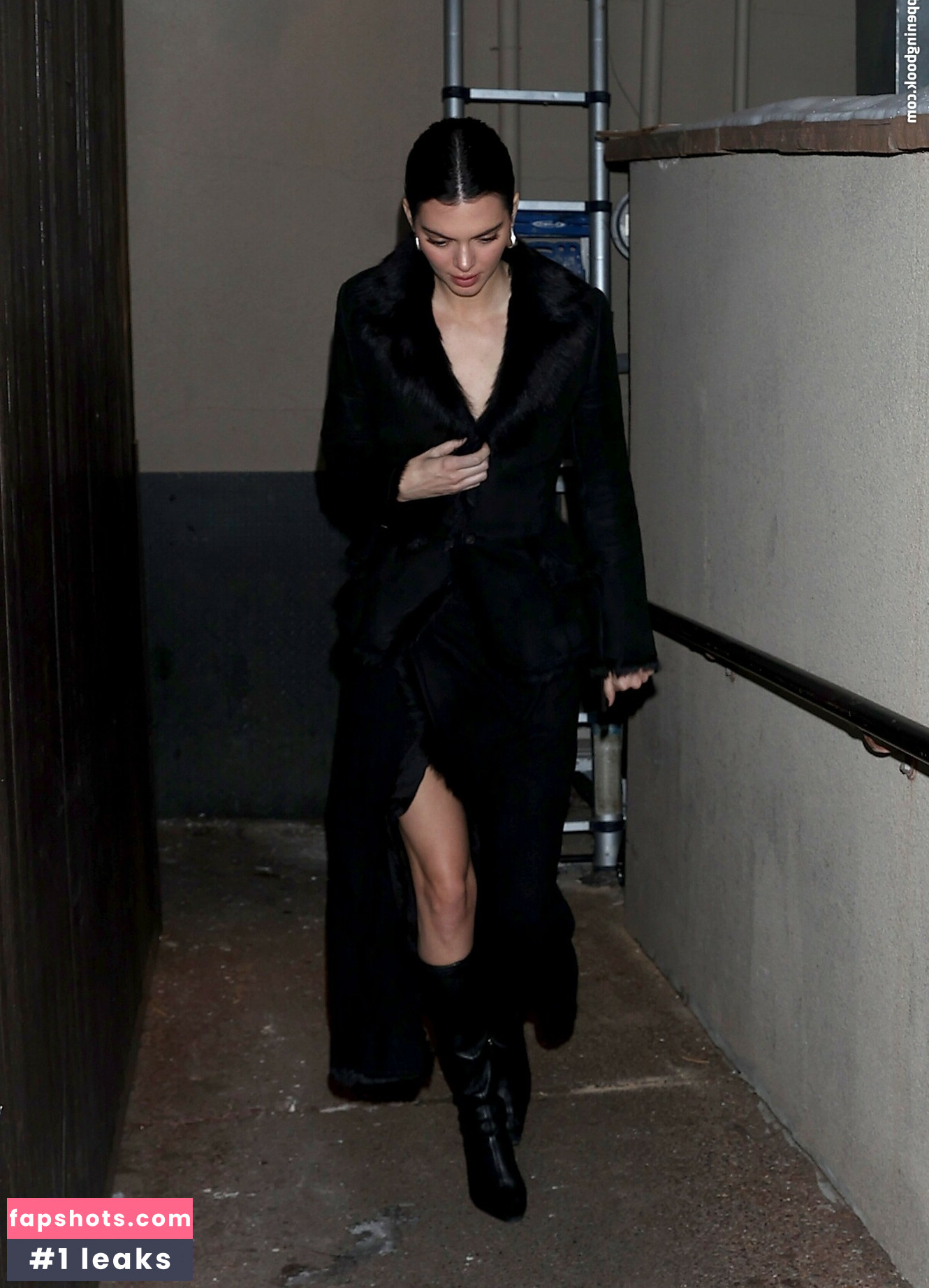 Kendall Jenner Nude Leaks OnlyFans Photos #244 - LeakJerk