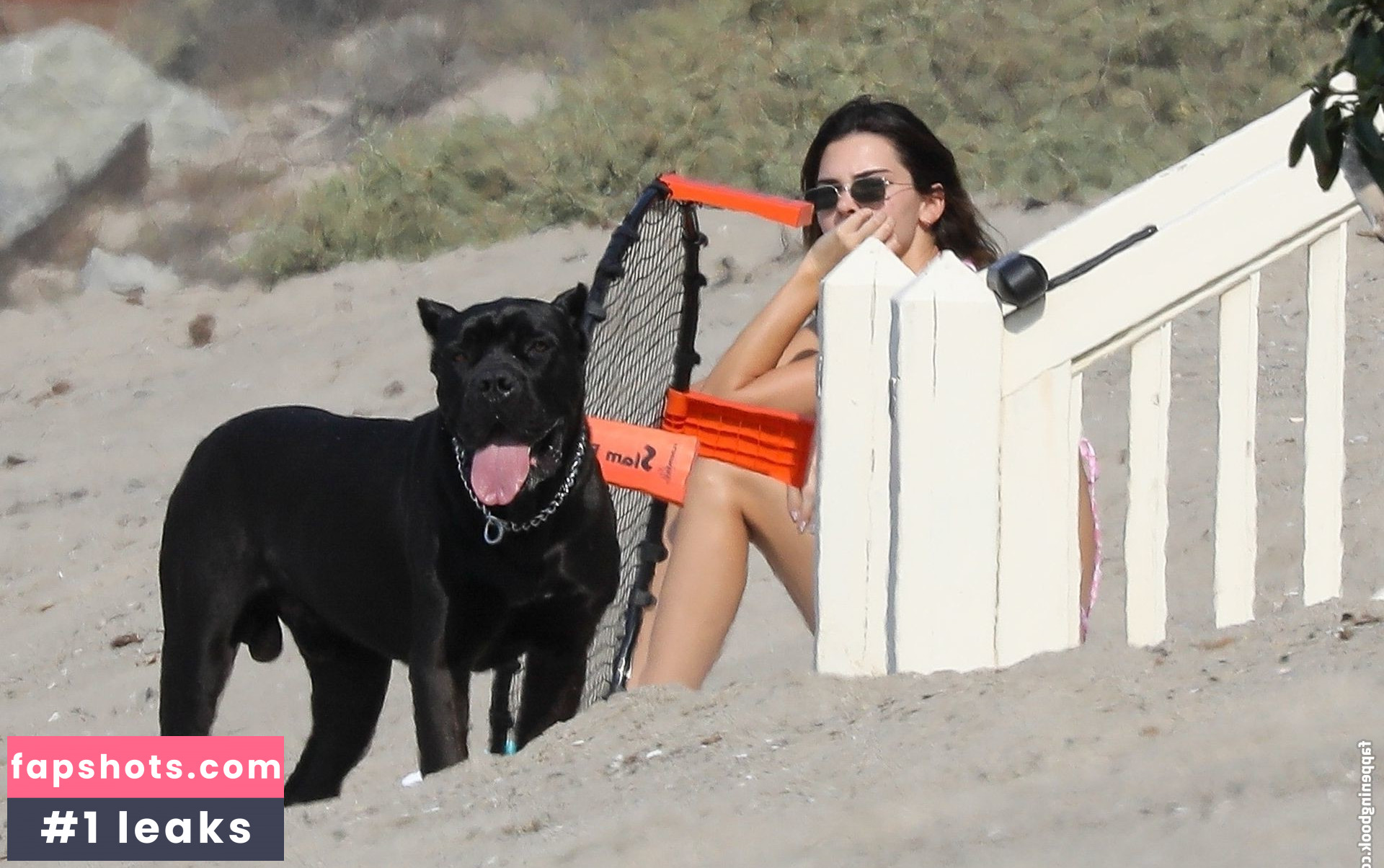 Kendall Jenner gallery photo #2656