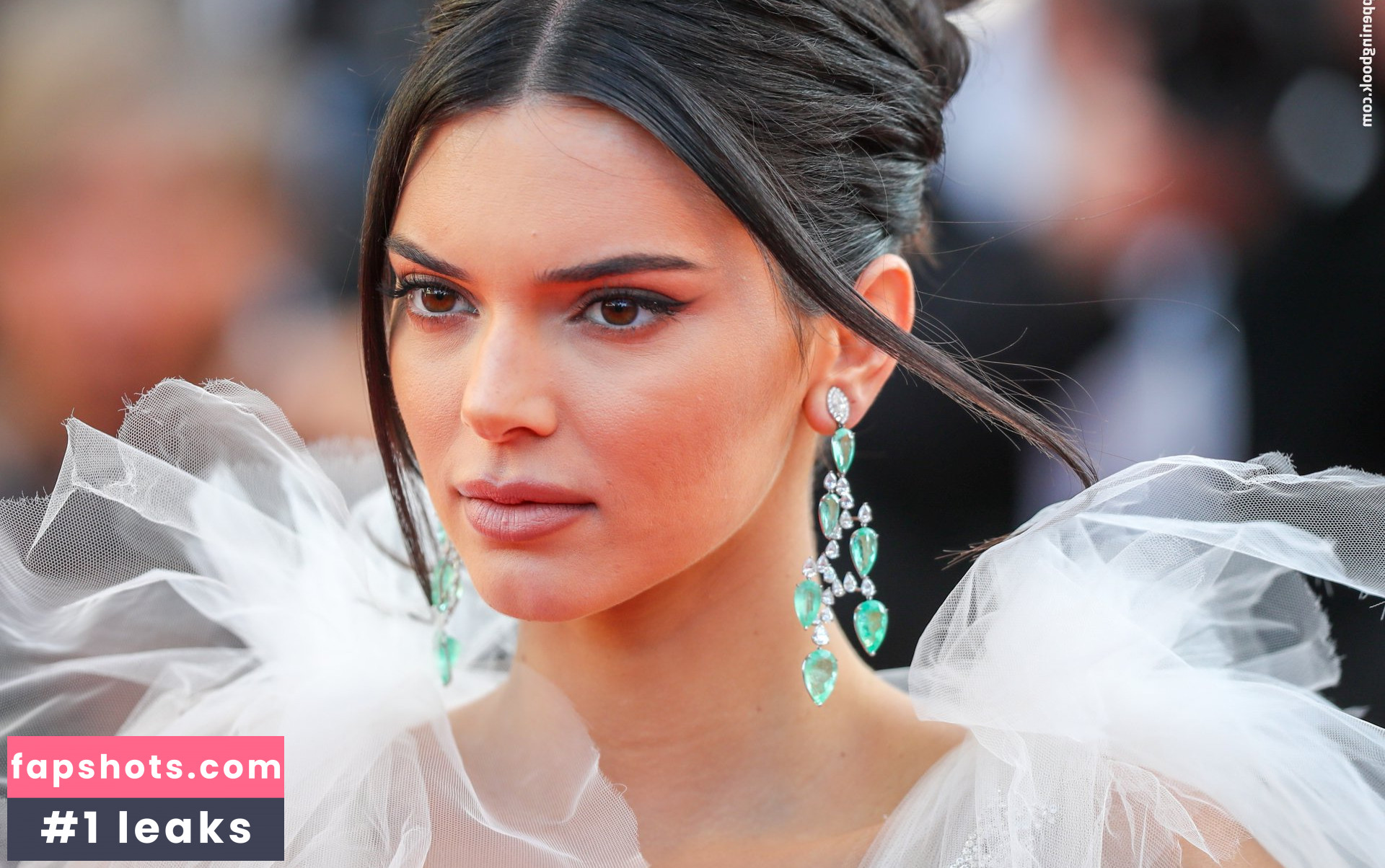 Kendall Jenner Nude Leaks OnlyFans Photos #3484 - LeakJerk