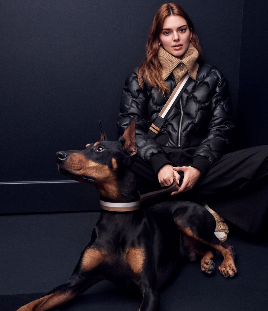 kendall-jenner gallery photo #2980