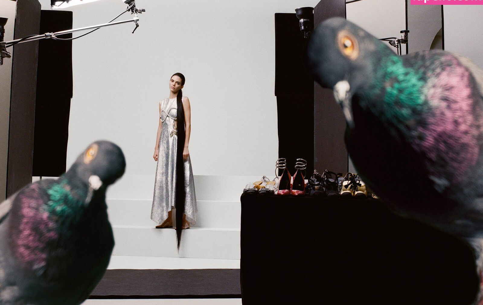 kendall-jenner gallery photo #3111