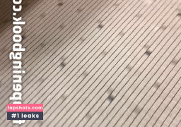 Kenzie Madison Nude Leaks OnlyFans Photos #51 - LeakJerk