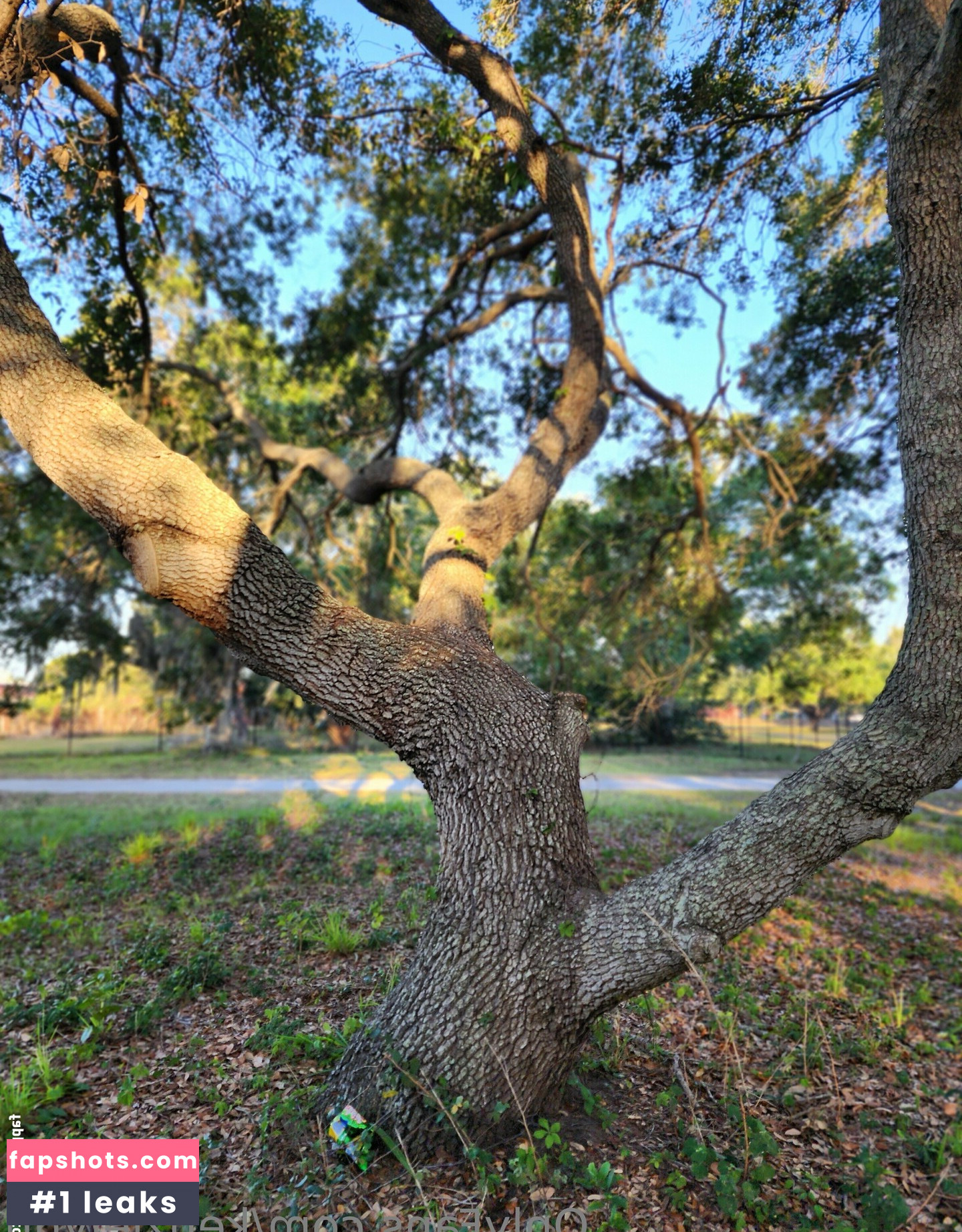 kenzielynn gallery photo #2