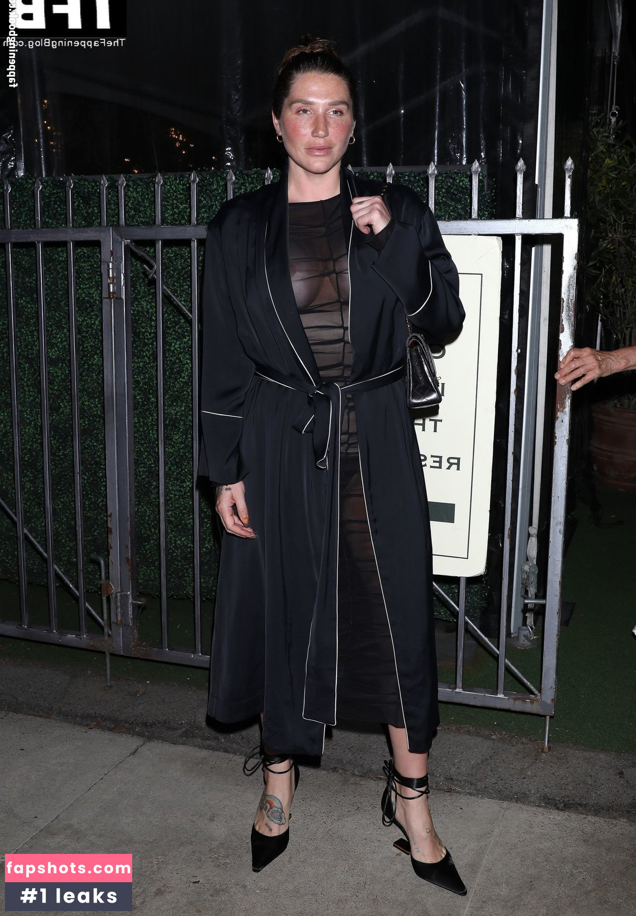 Kesha Nude Leaks OnlyFans Photos #123 - LeakJerk