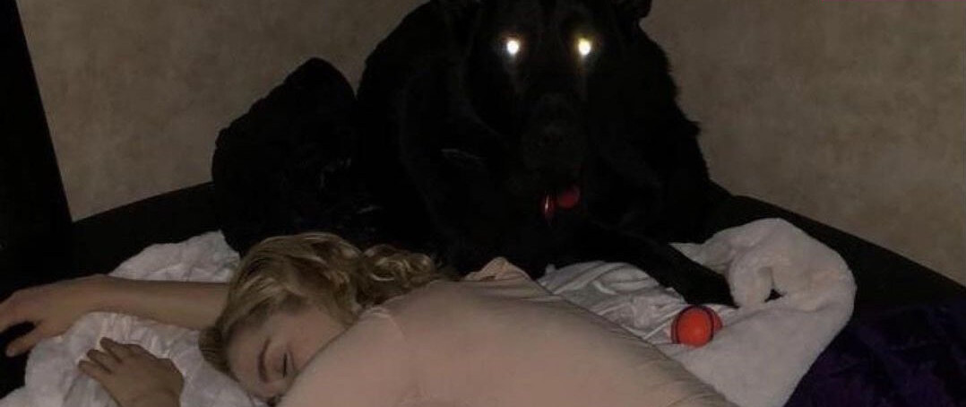 kiernan-shipka gallery photo #1049