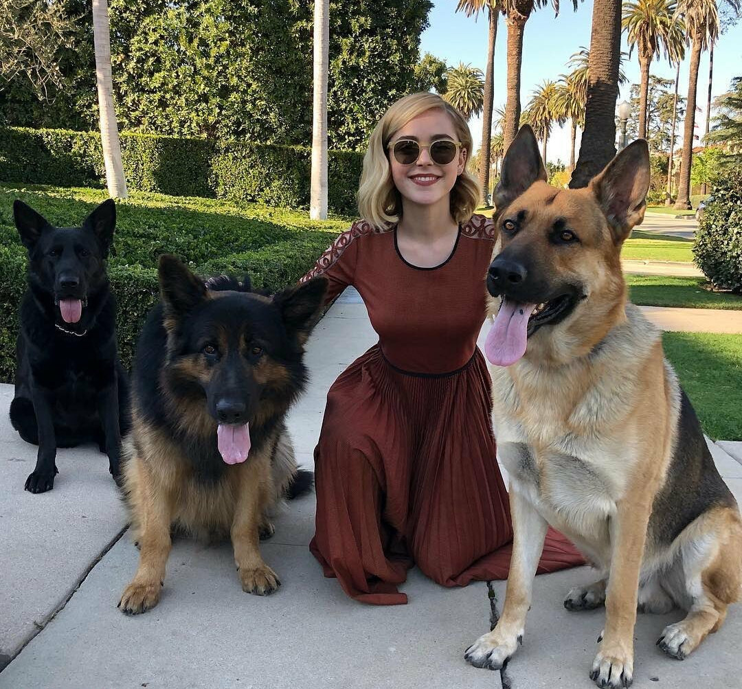 kiernan-shipka gallery photo #1472