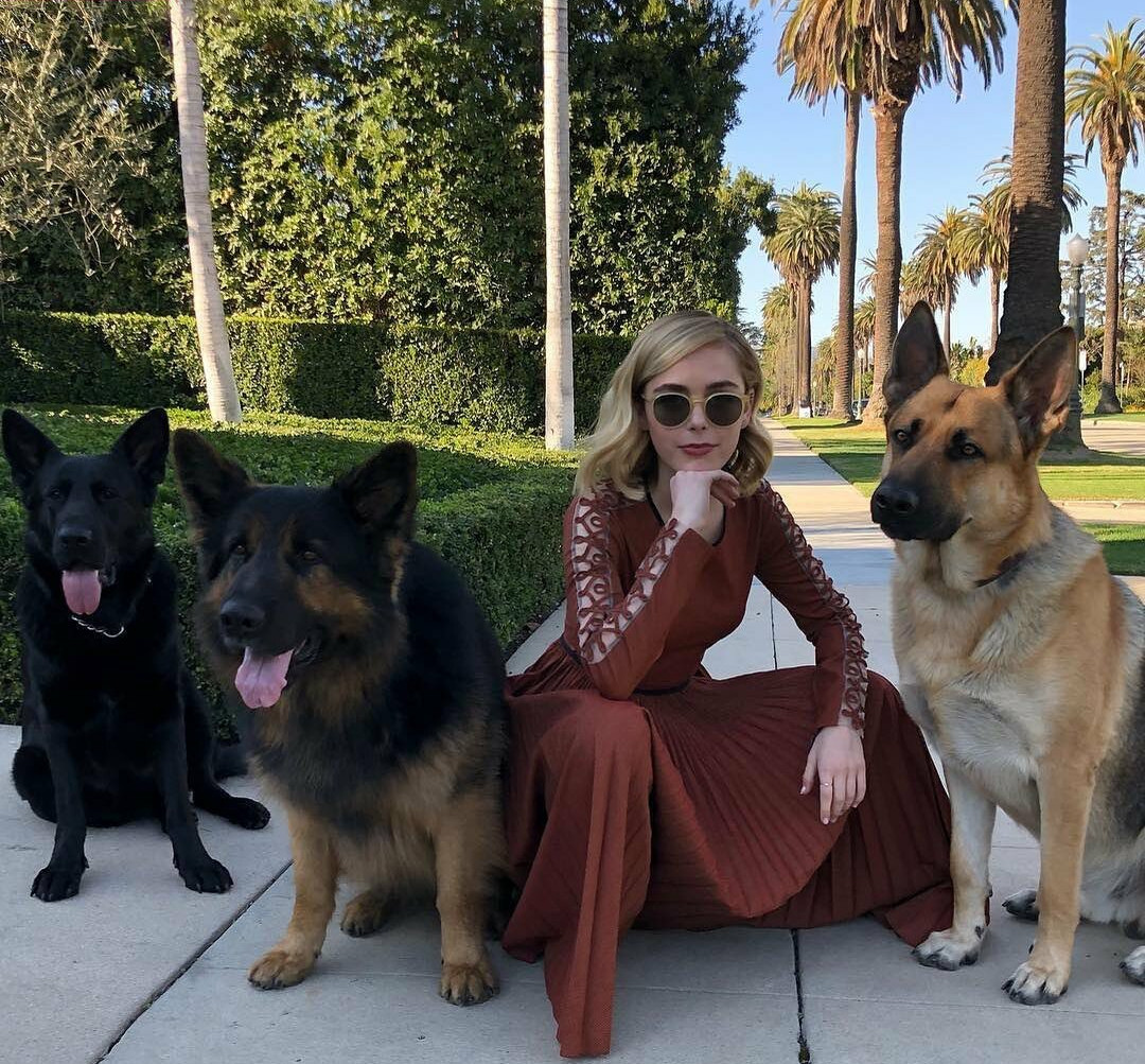 kiernan-shipka gallery photo #1473