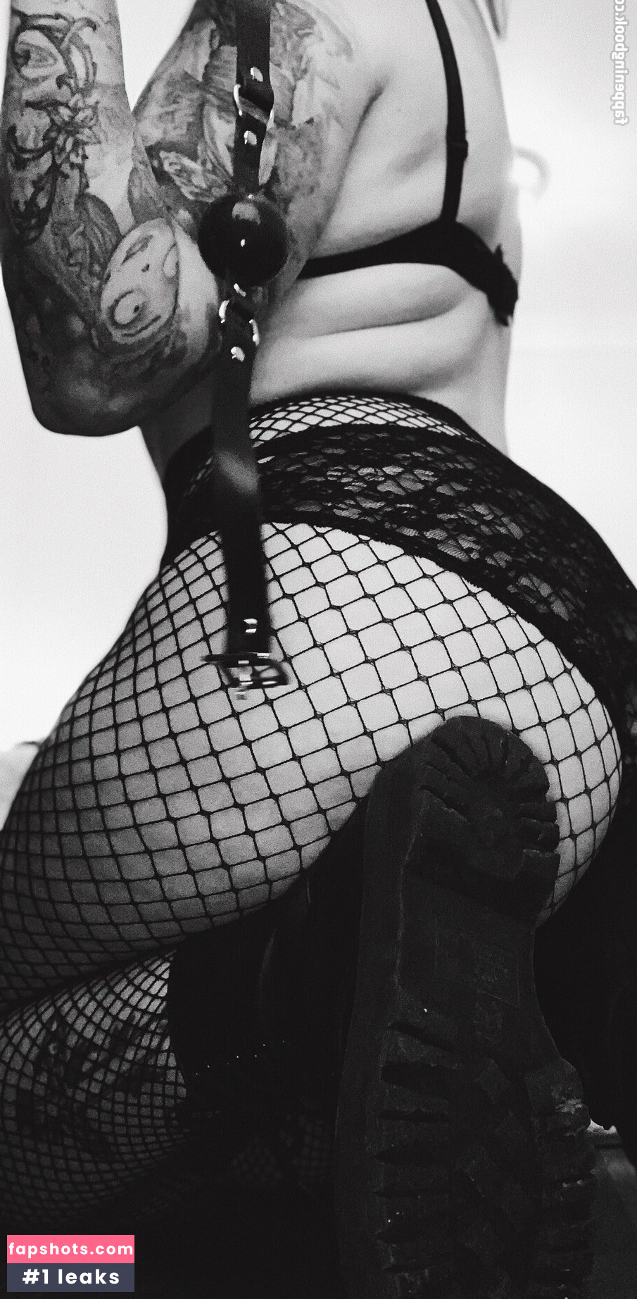 killaabees gallery photo #19