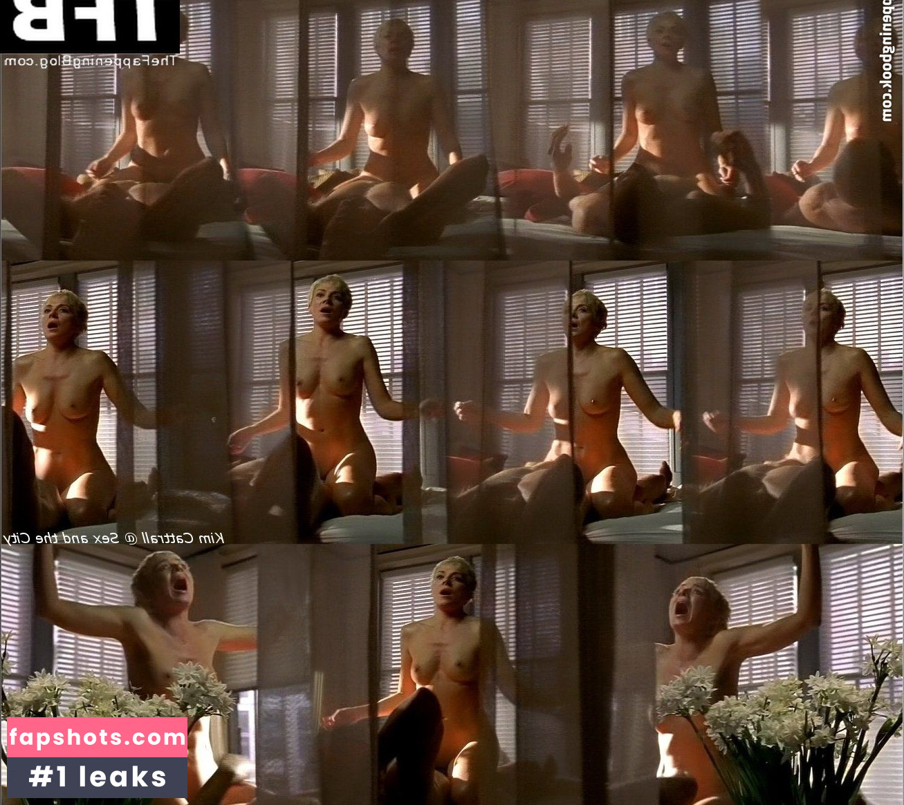 Kim Cattrall gallery photo #52