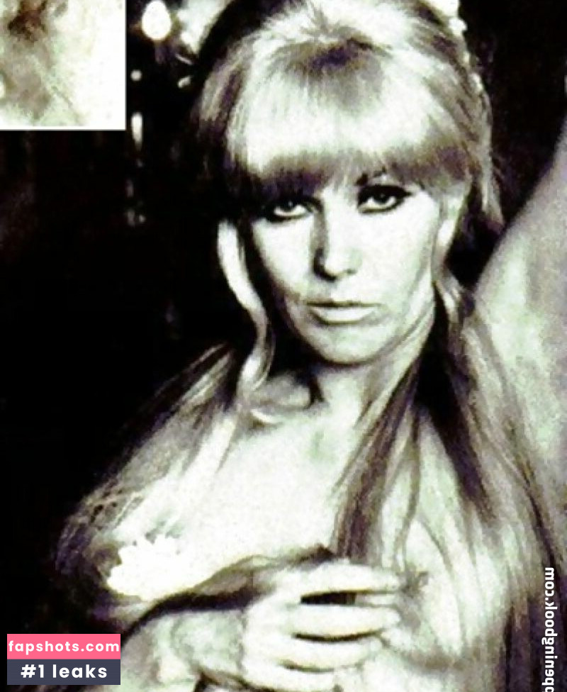 Kim Novak gallery photo #13