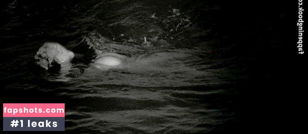 Kim Novak gallery photo #35