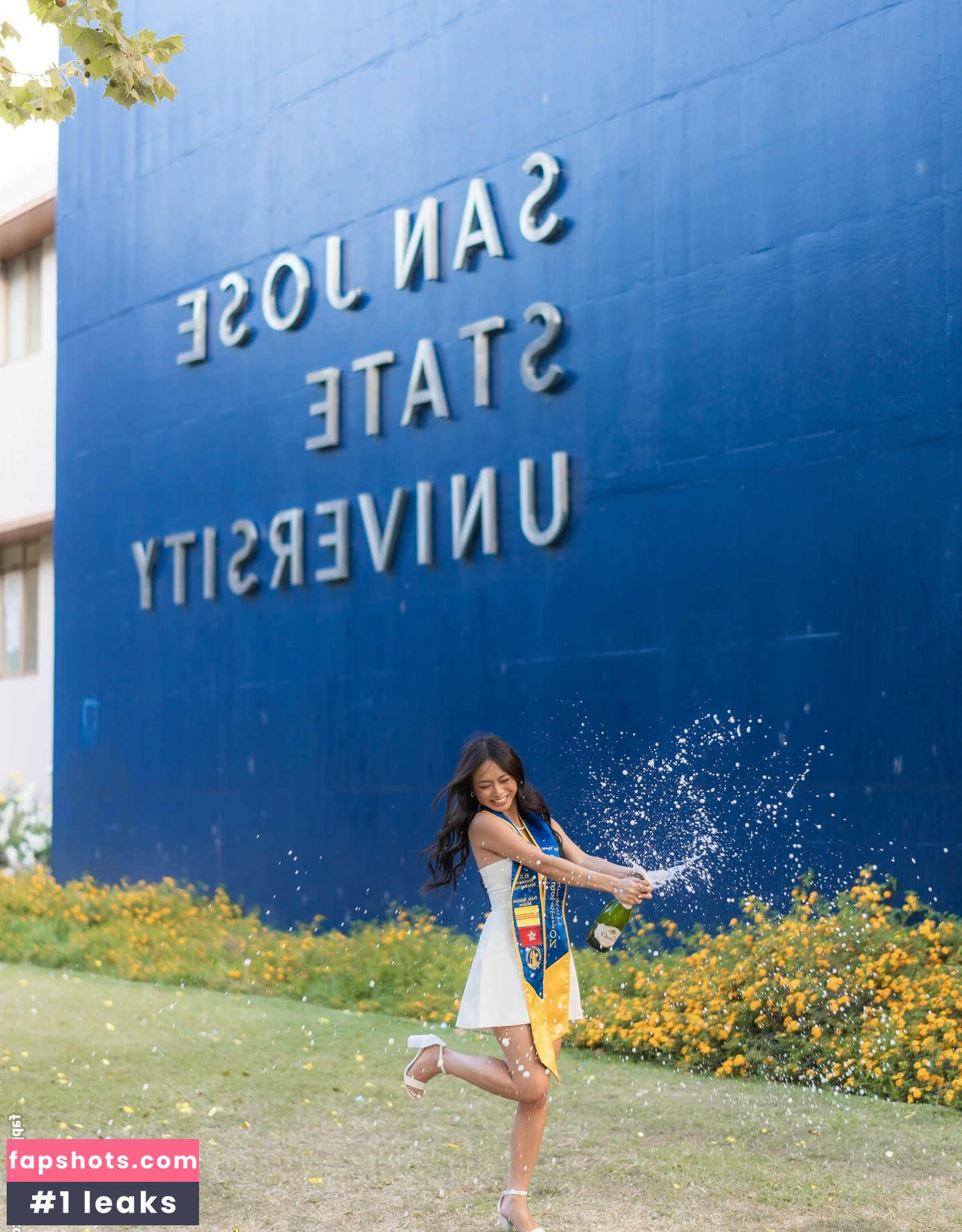 Kim Vuong gallery photo #5