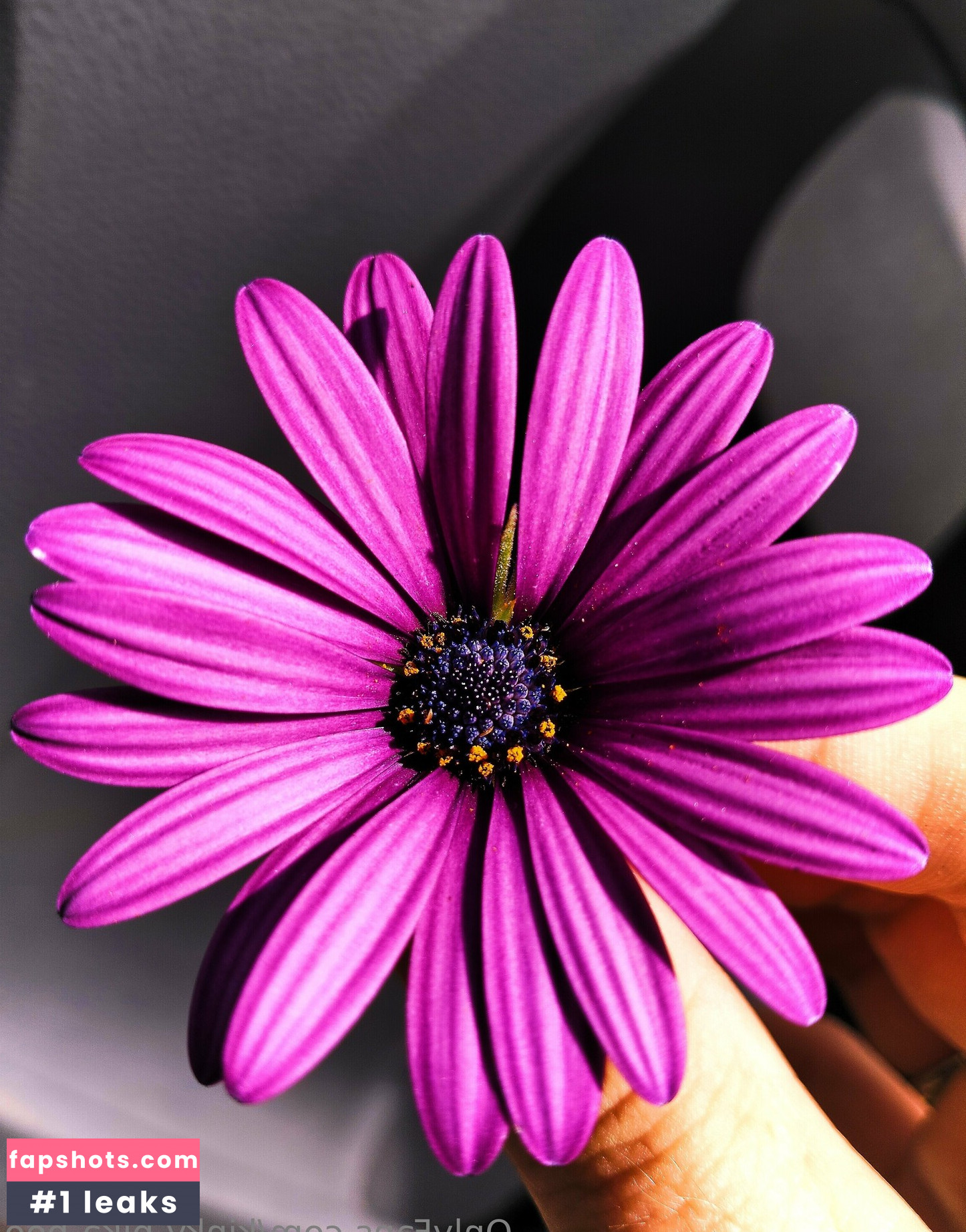 kinky-pika-boo gallery photo #8