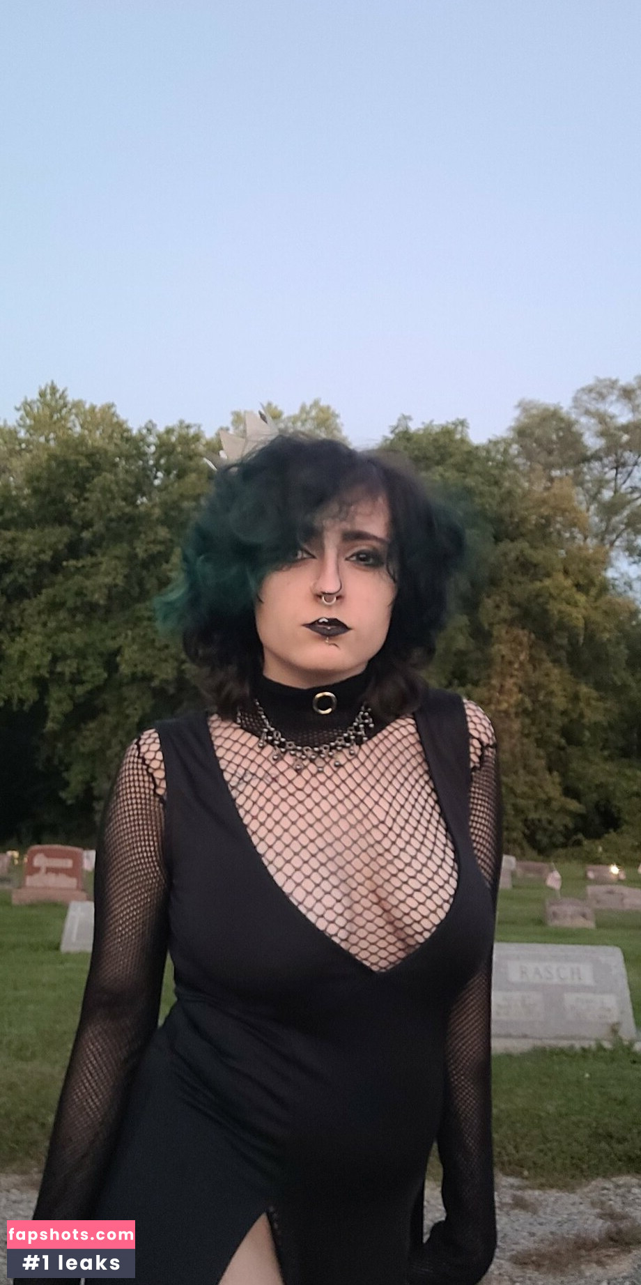 kinkyshybean gallery photo #2