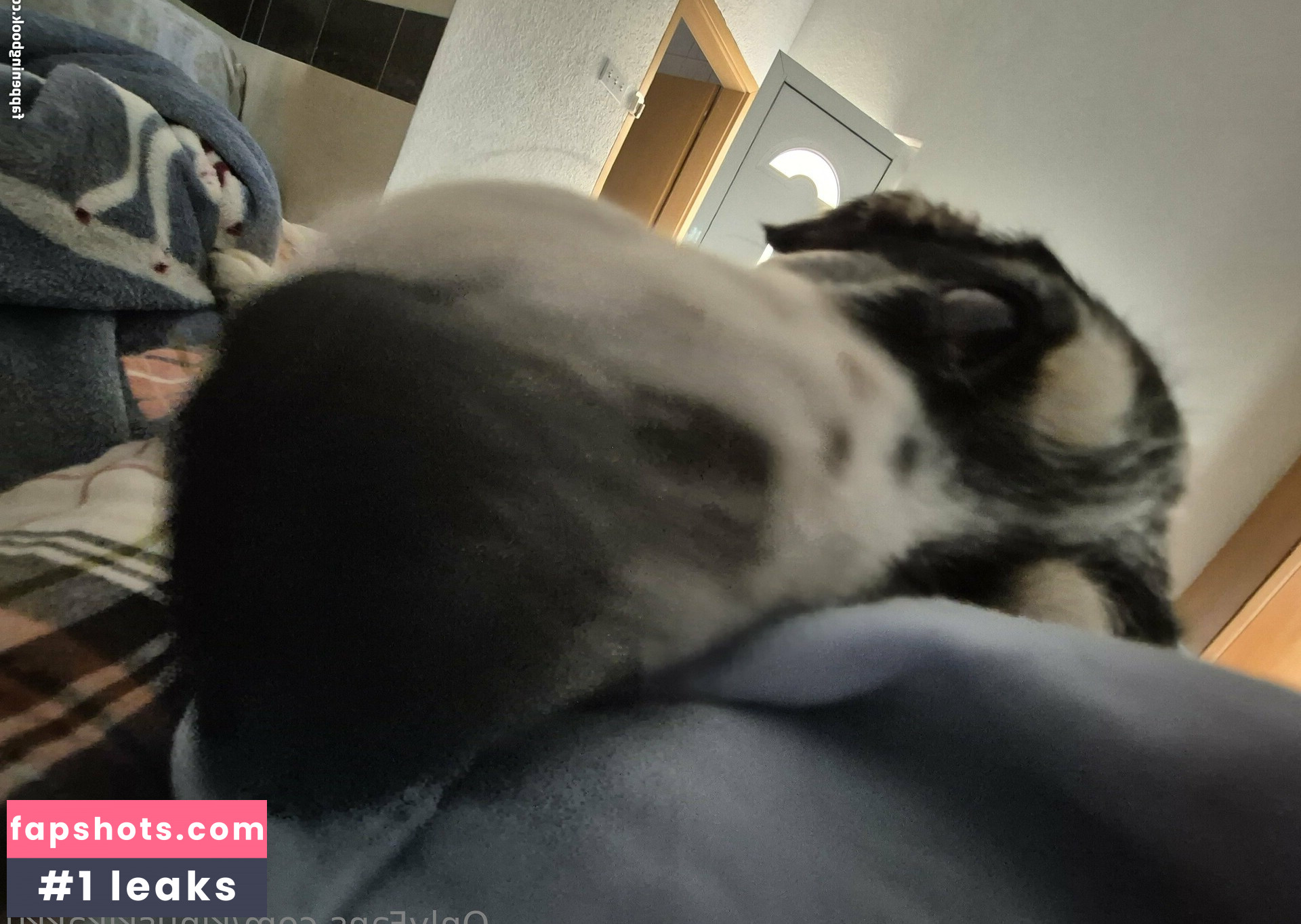 kinuskikakku gallery photo #4