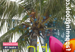 Kira Perez gallery photo #12