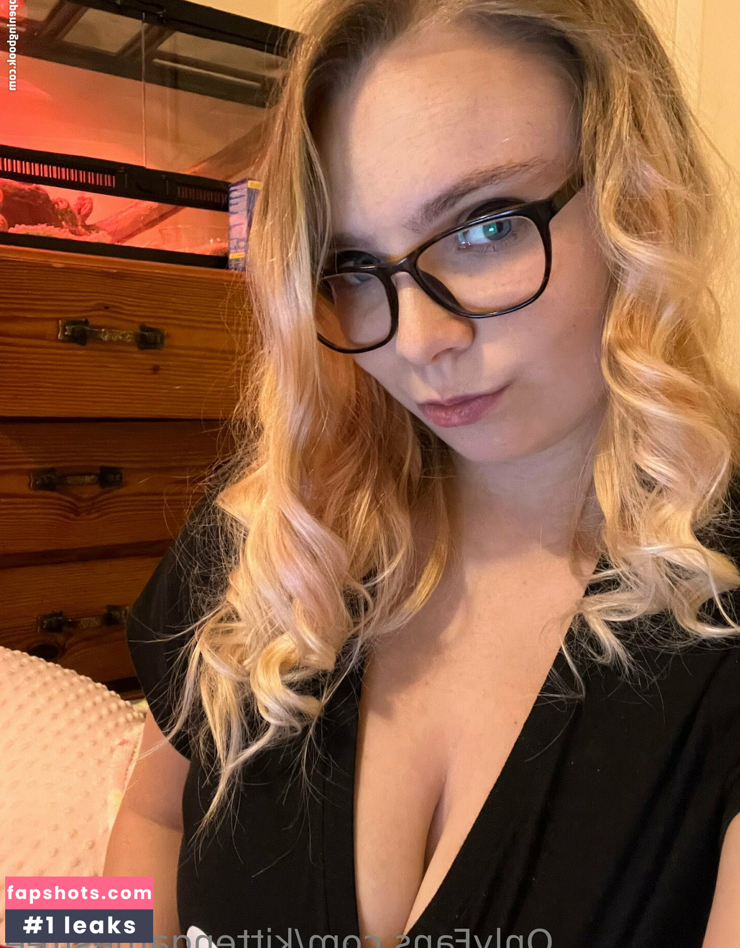 kittengamesfree Nacktheit OnlyFans Fotos #4 - Fapshots