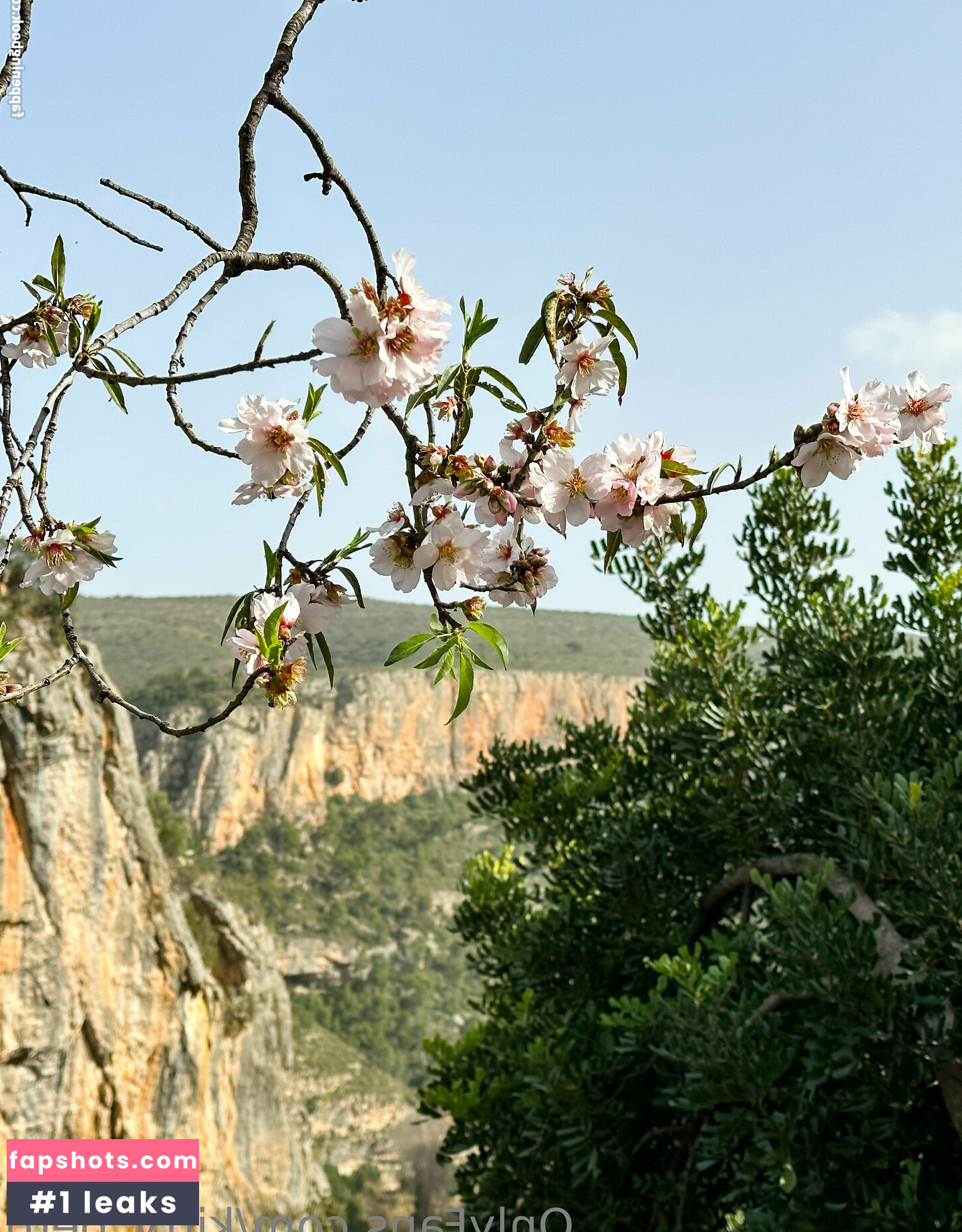 Kitty Berg gallery photo #123