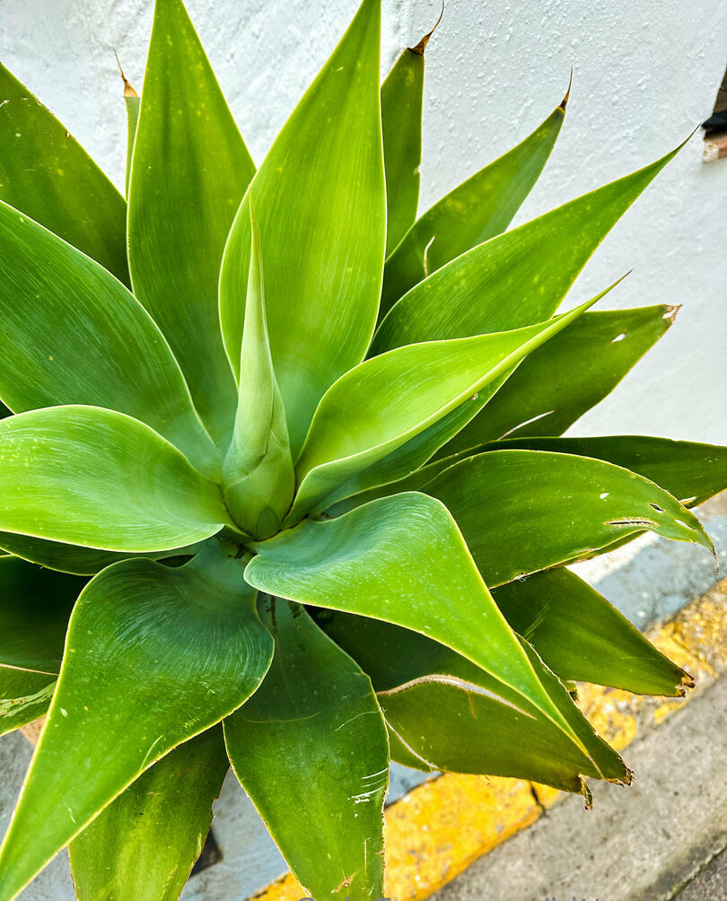 kitty-berg Nahé úniky fotek pouze od fanoušků #1149 - Fapshots