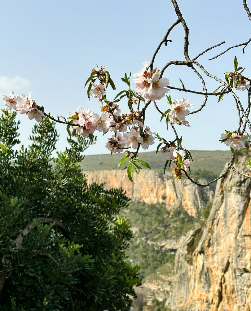kitty-berg Nahé úniky fotek pouze od fanoušků #1243 - Fapshots